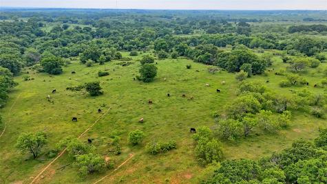 Tbd Cardwell Road Ringgold TX 76261