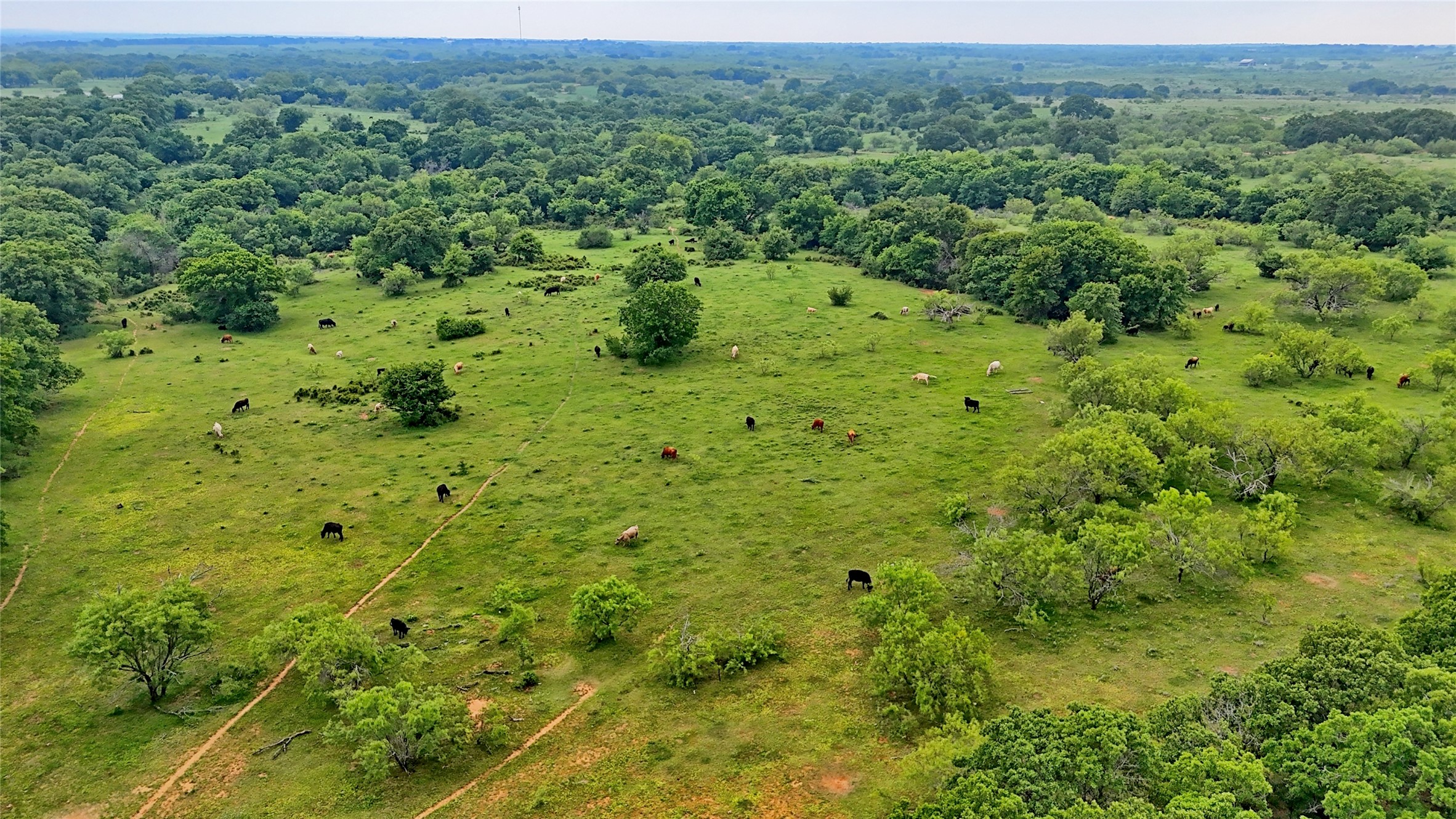 Tbd Cardwell Road Ringgold TX 76261