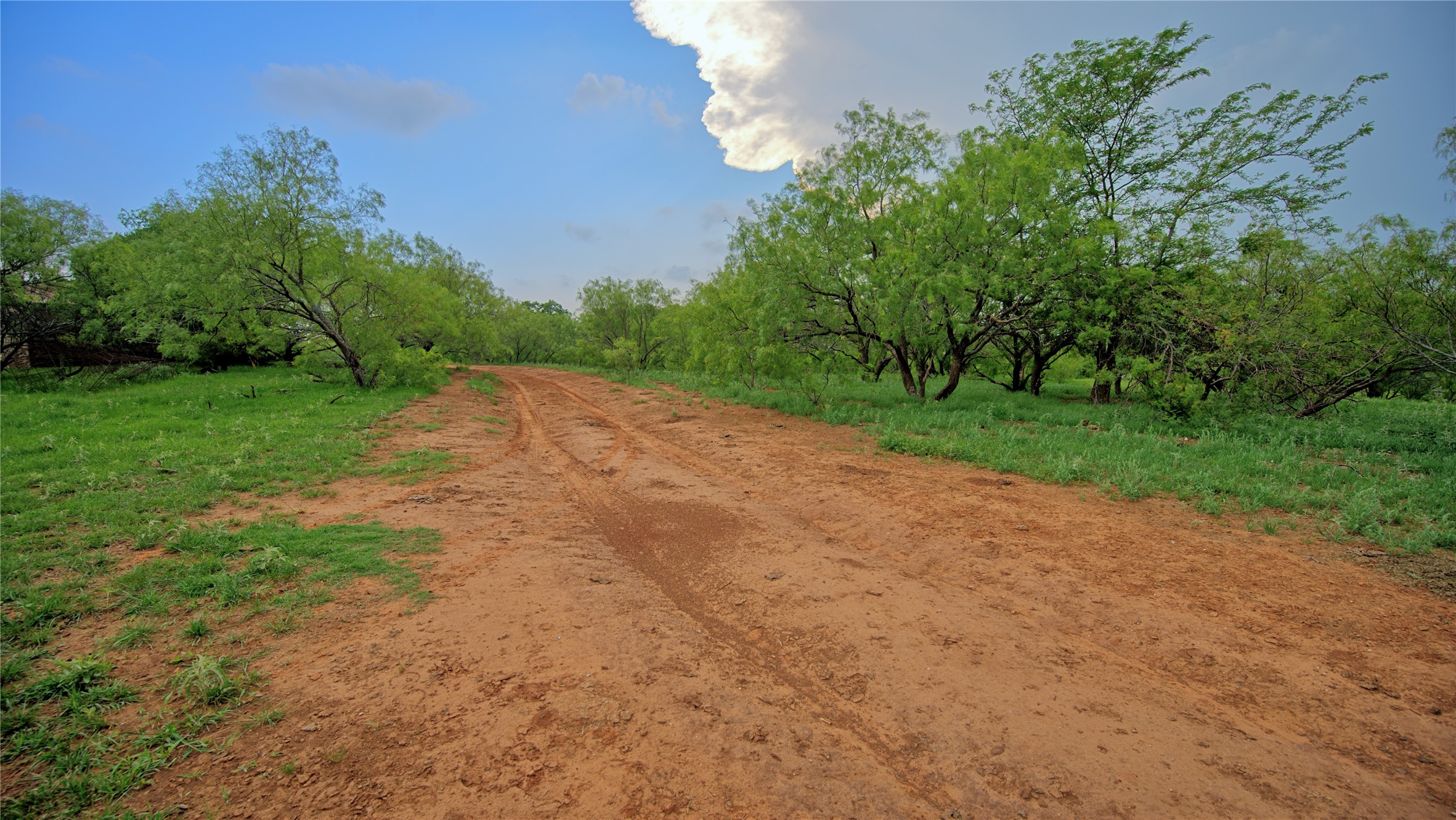 Tbd Cardwell Road Ringgold TX 76261