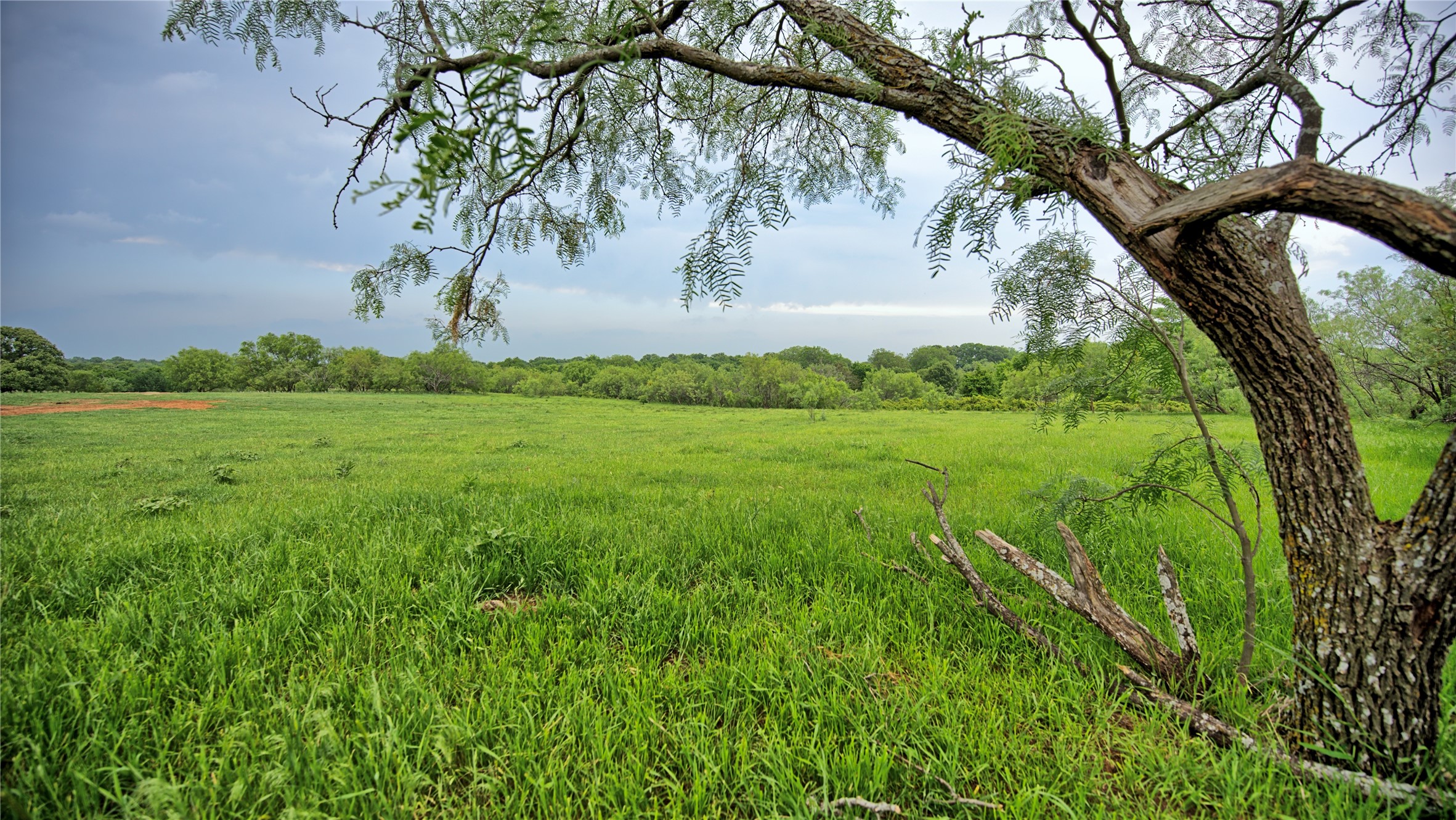 Tbd Cardwell Road Ringgold TX 76261