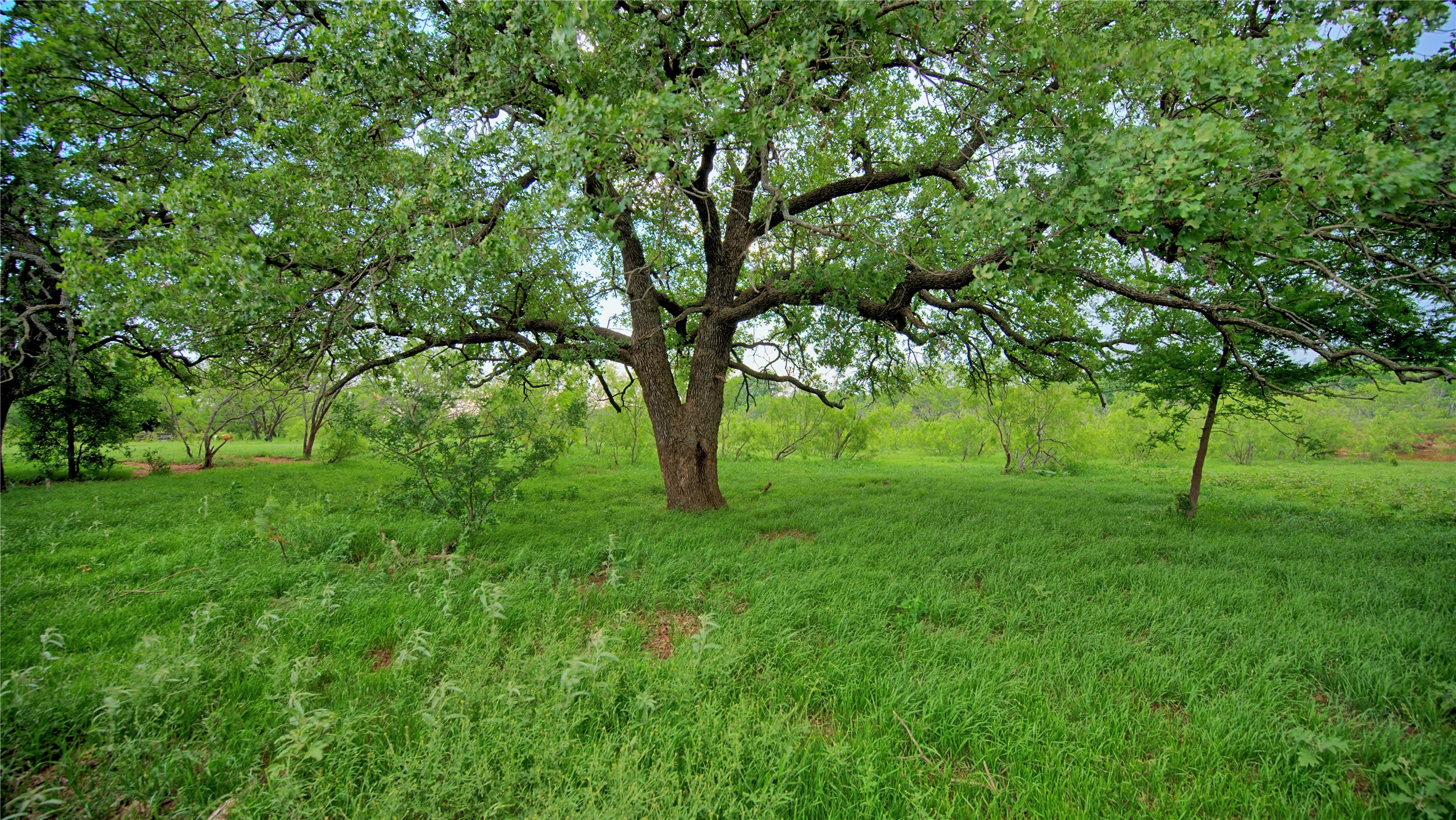 Tbd Cardwell Road Ringgold TX 76261