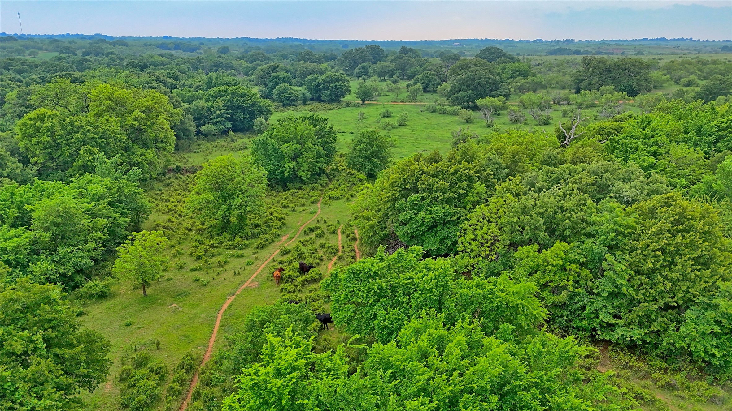 Tbd Cardwell Road Ringgold TX 76261