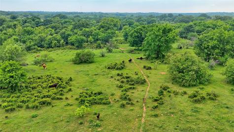 Tbd Cardwell Road Ringgold TX 76261