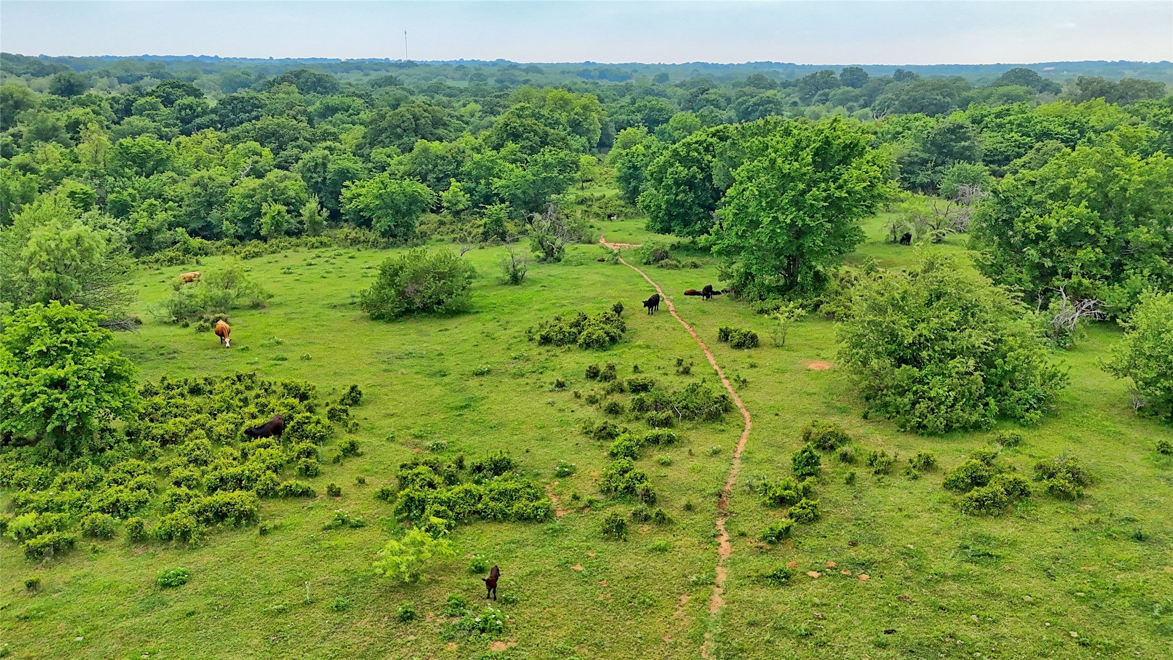 Tbd Cardwell Road Ringgold TX 76261