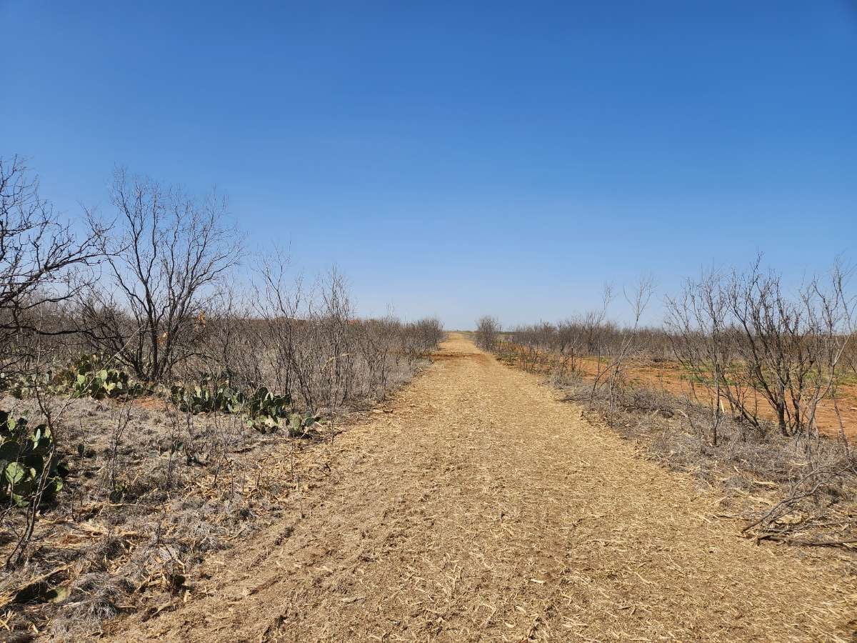 12929 County Road 356 Anson TX 79501