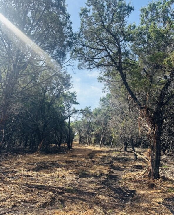Tbd Lot 24 Hank Williams Way Burnet TX 78605
