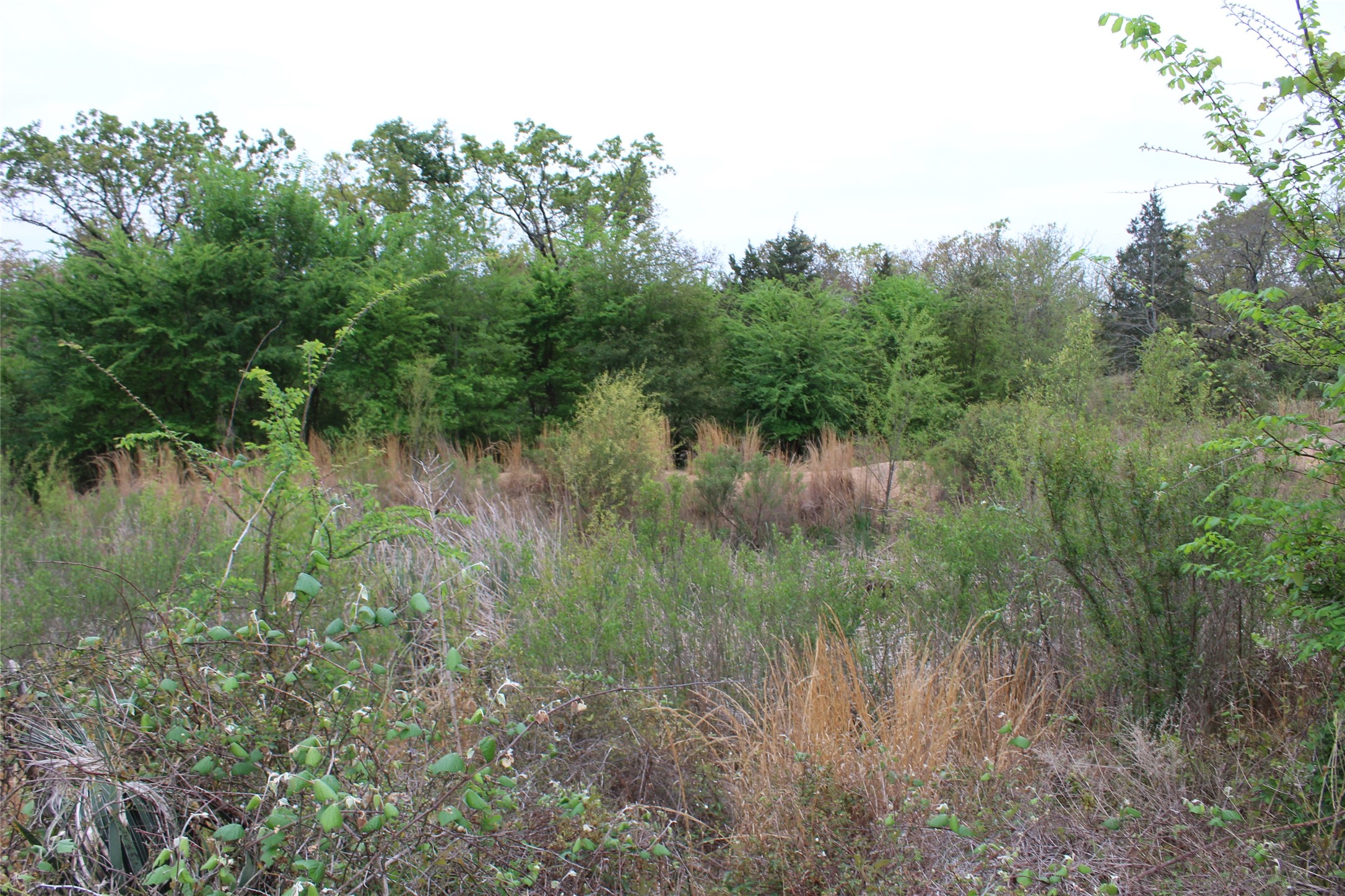 0 Cr-4600 Athens TX 75752
