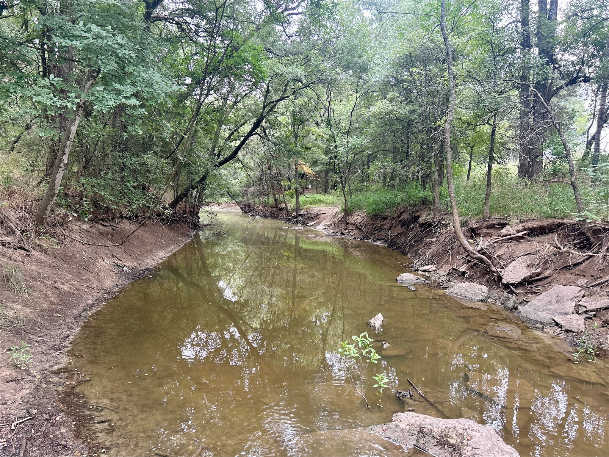 Lot 6 County Road 380 Dublin TX 76446