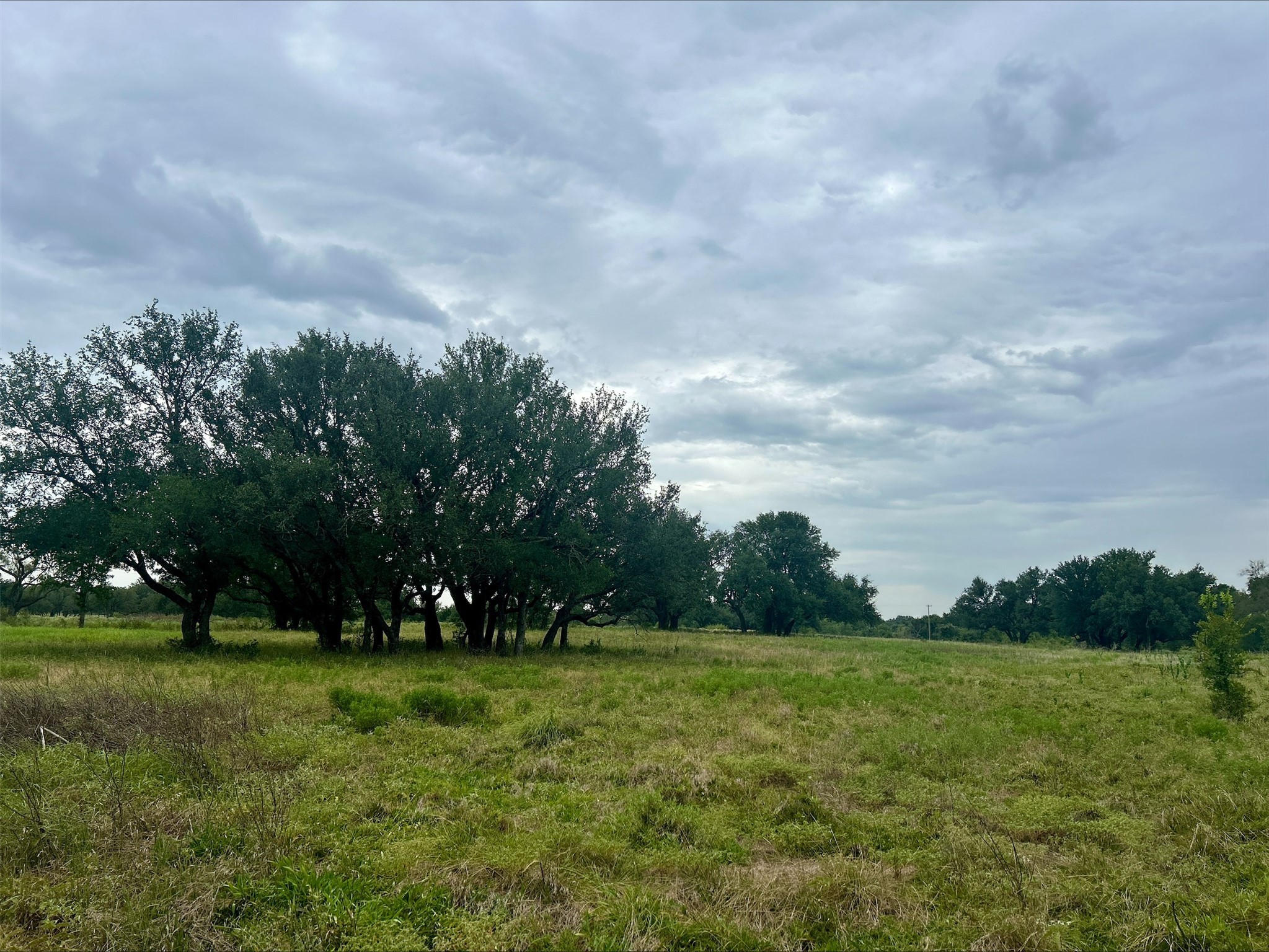 Lot 6 County Road 380 Dublin TX 76446