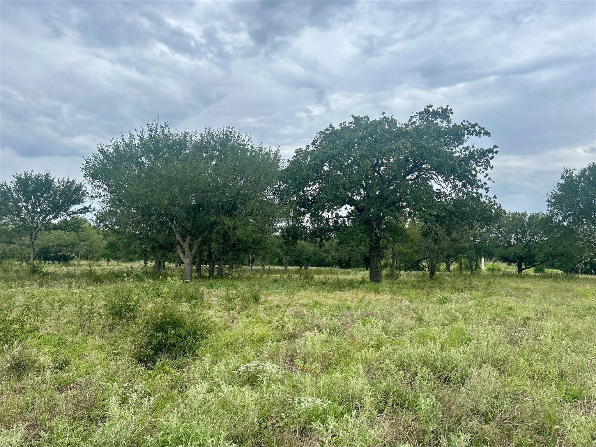 Lot 6 County Road 380 Dublin TX 76446
