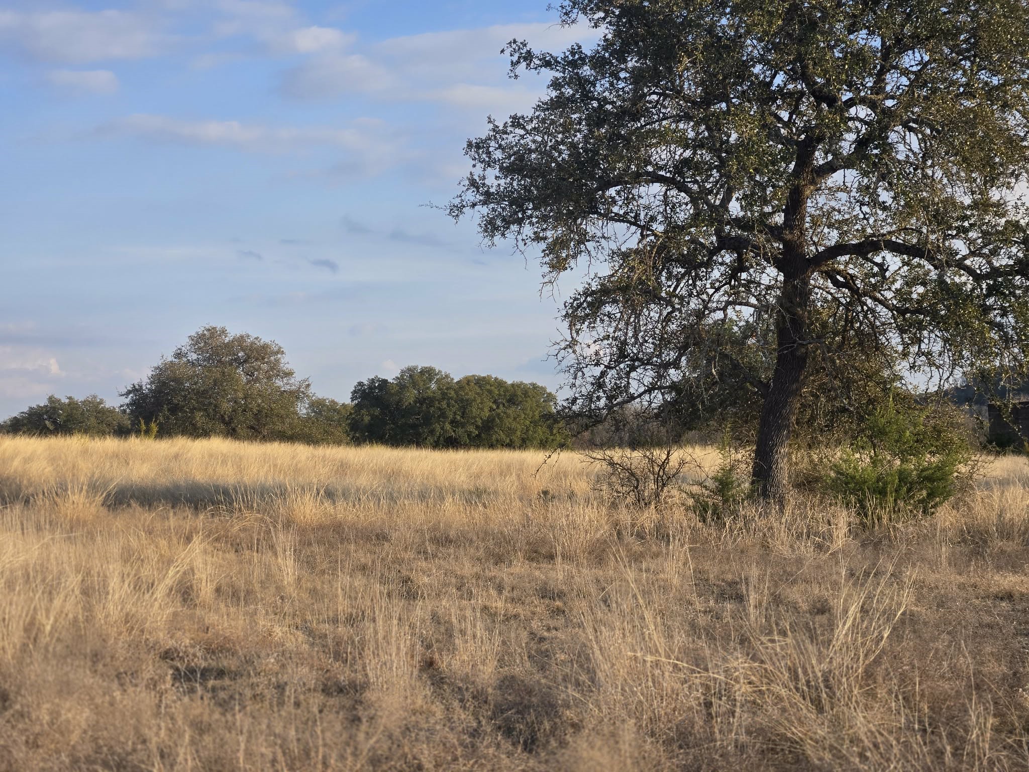 205 Grand Canyon Drive Oglesby TX 76561