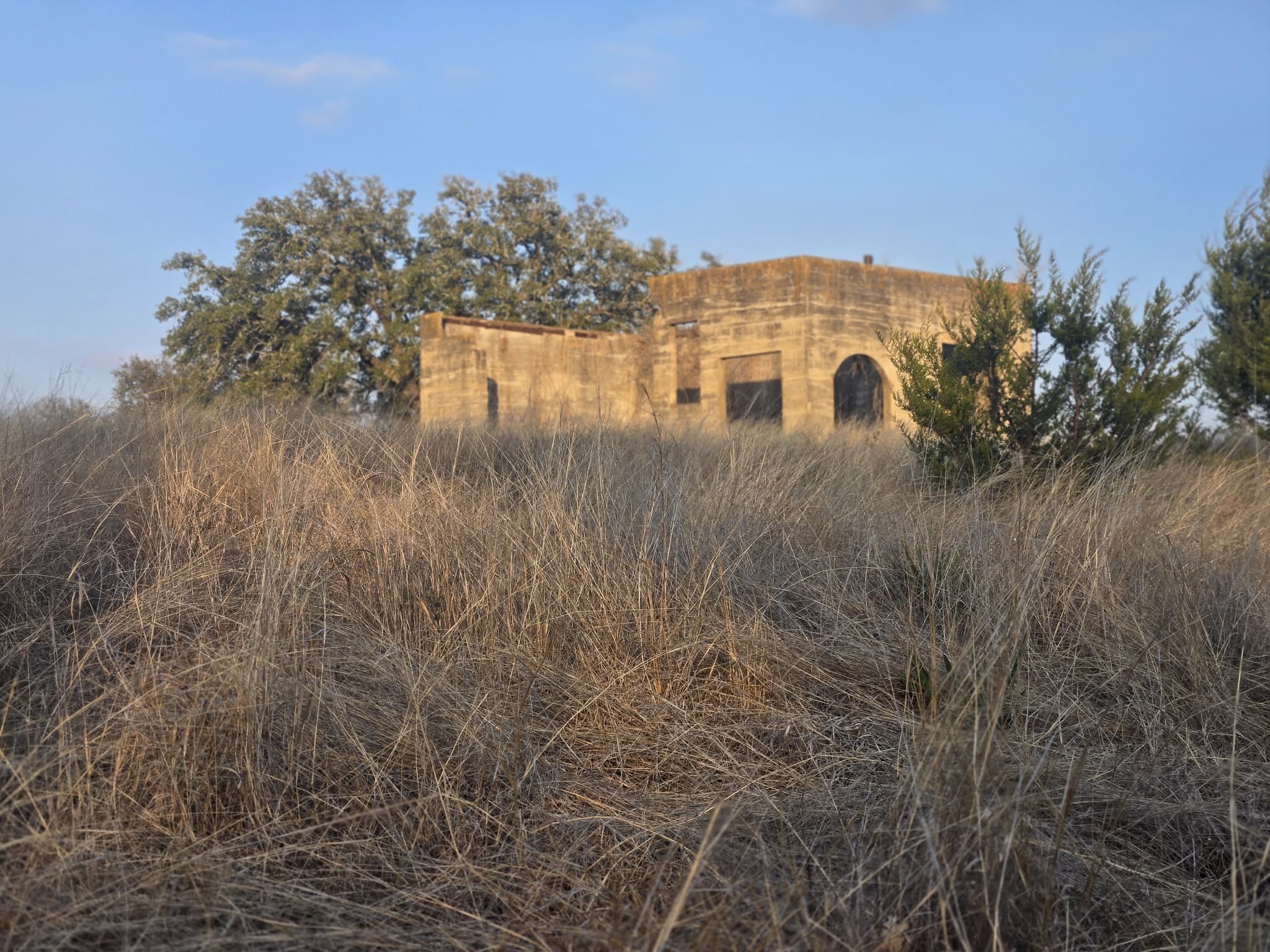 205 Grand Canyon Drive Oglesby TX 76561