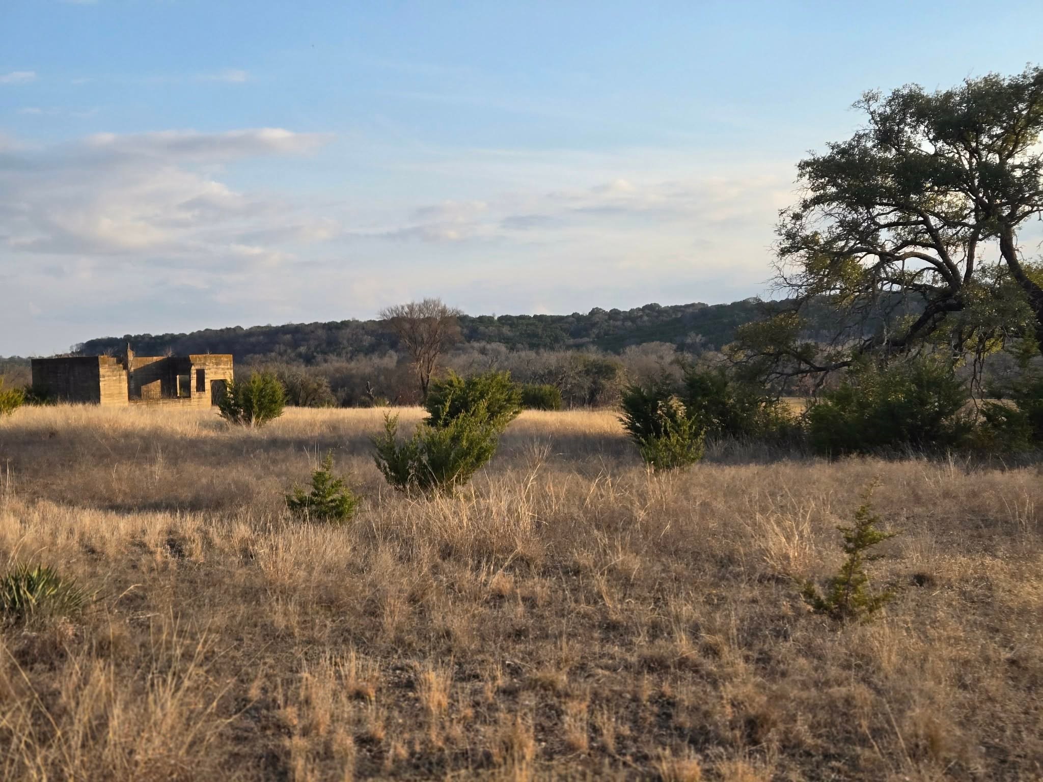 205 Grand Canyon Drive Oglesby TX 76561