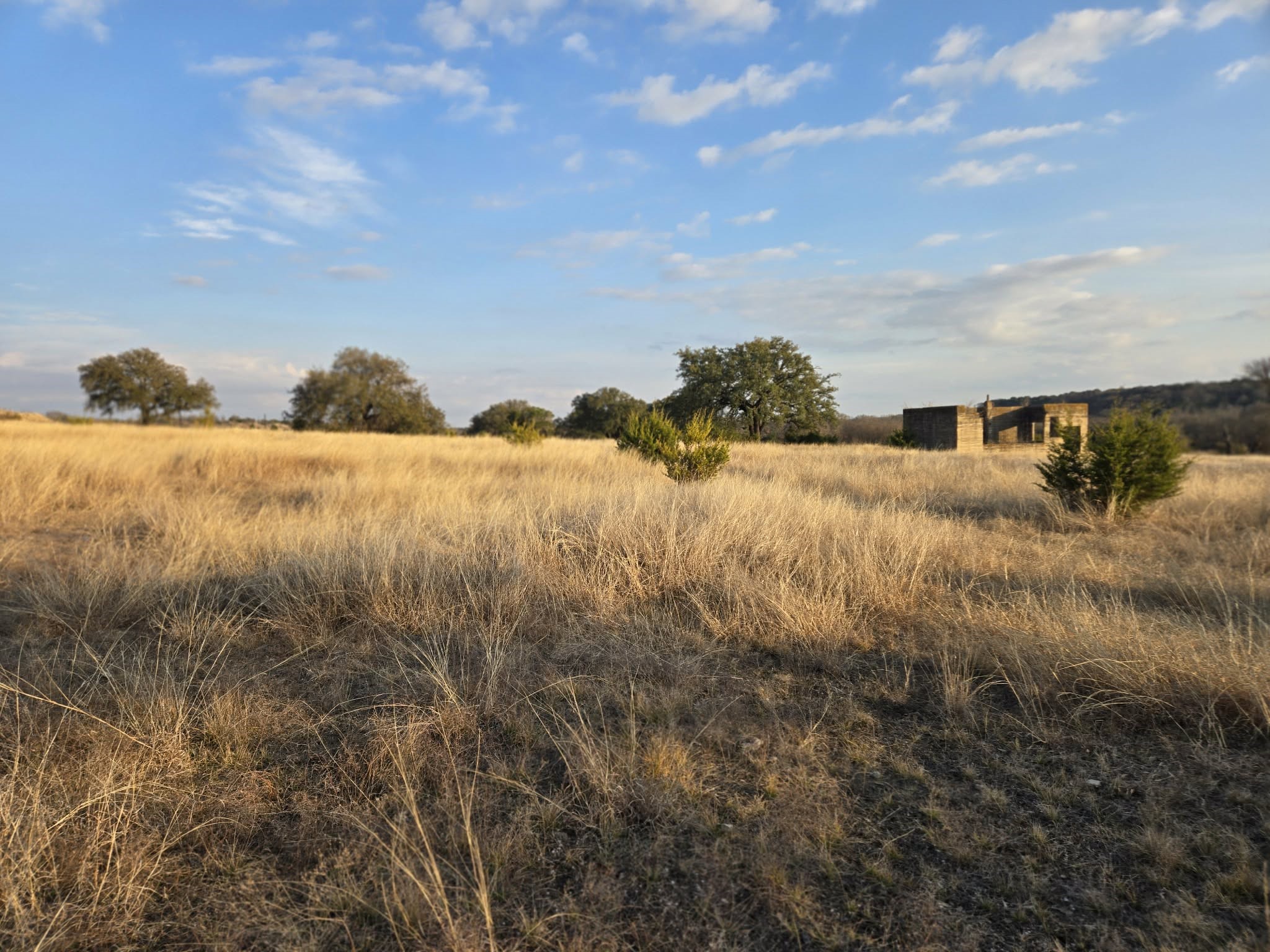205 Grand Canyon Drive Oglesby TX 76561