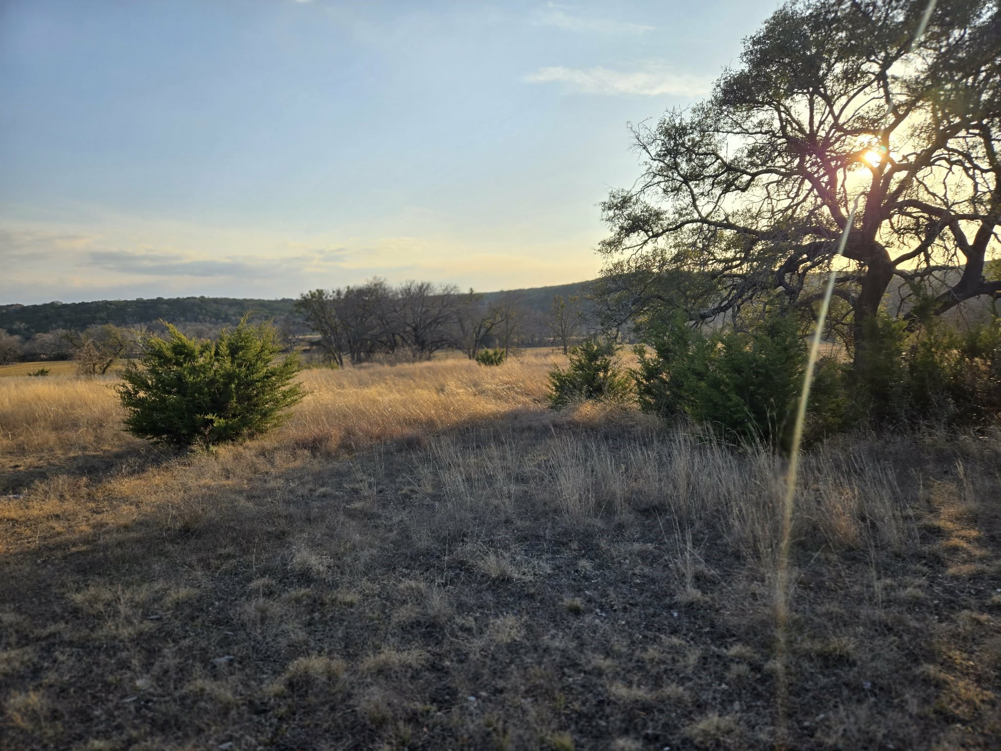 205 Grand Canyon Drive Oglesby TX 76561