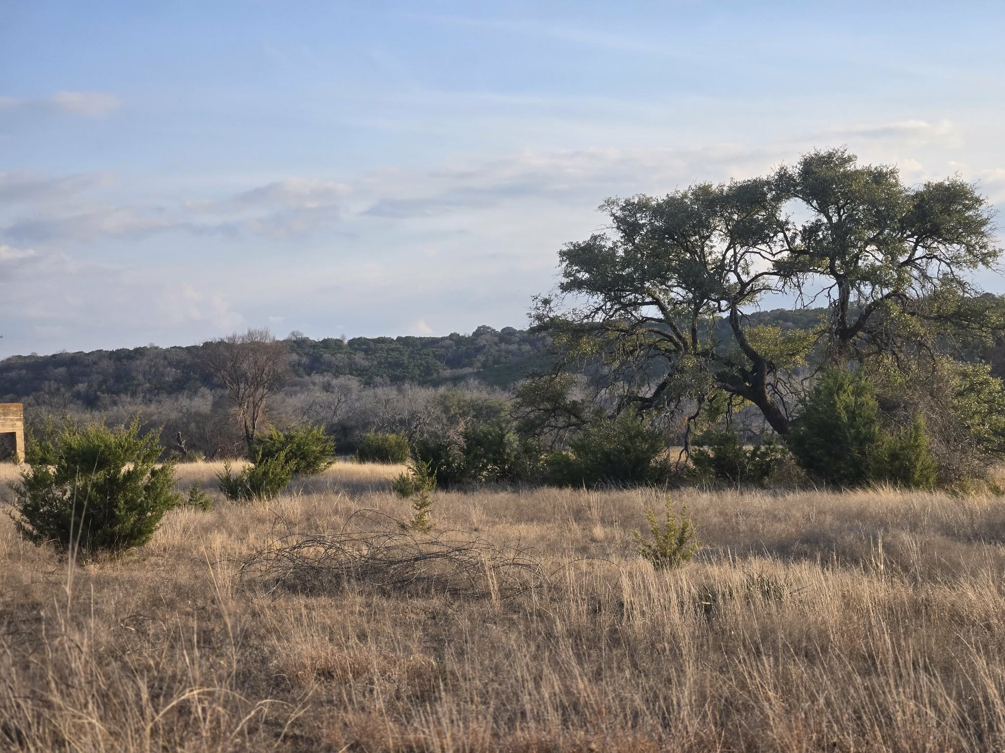 205 Grand Canyon Drive Oglesby TX 76561