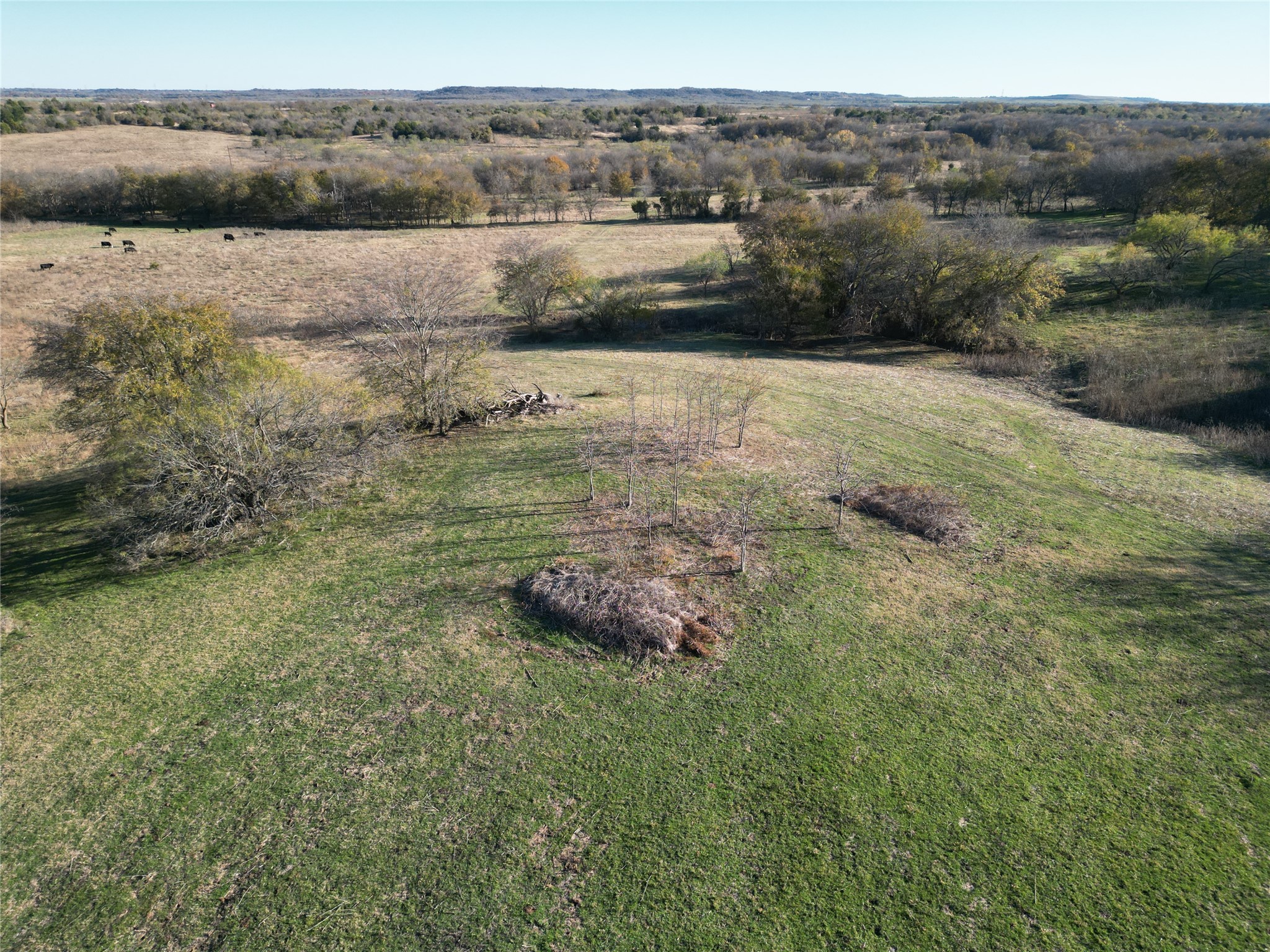 Lot 56 Private Road 451 Grandview TX 76050