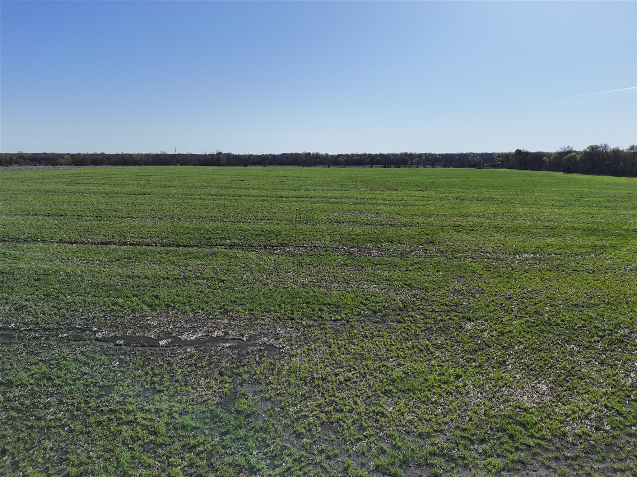 015 Fm 198 Enloe TX 75441