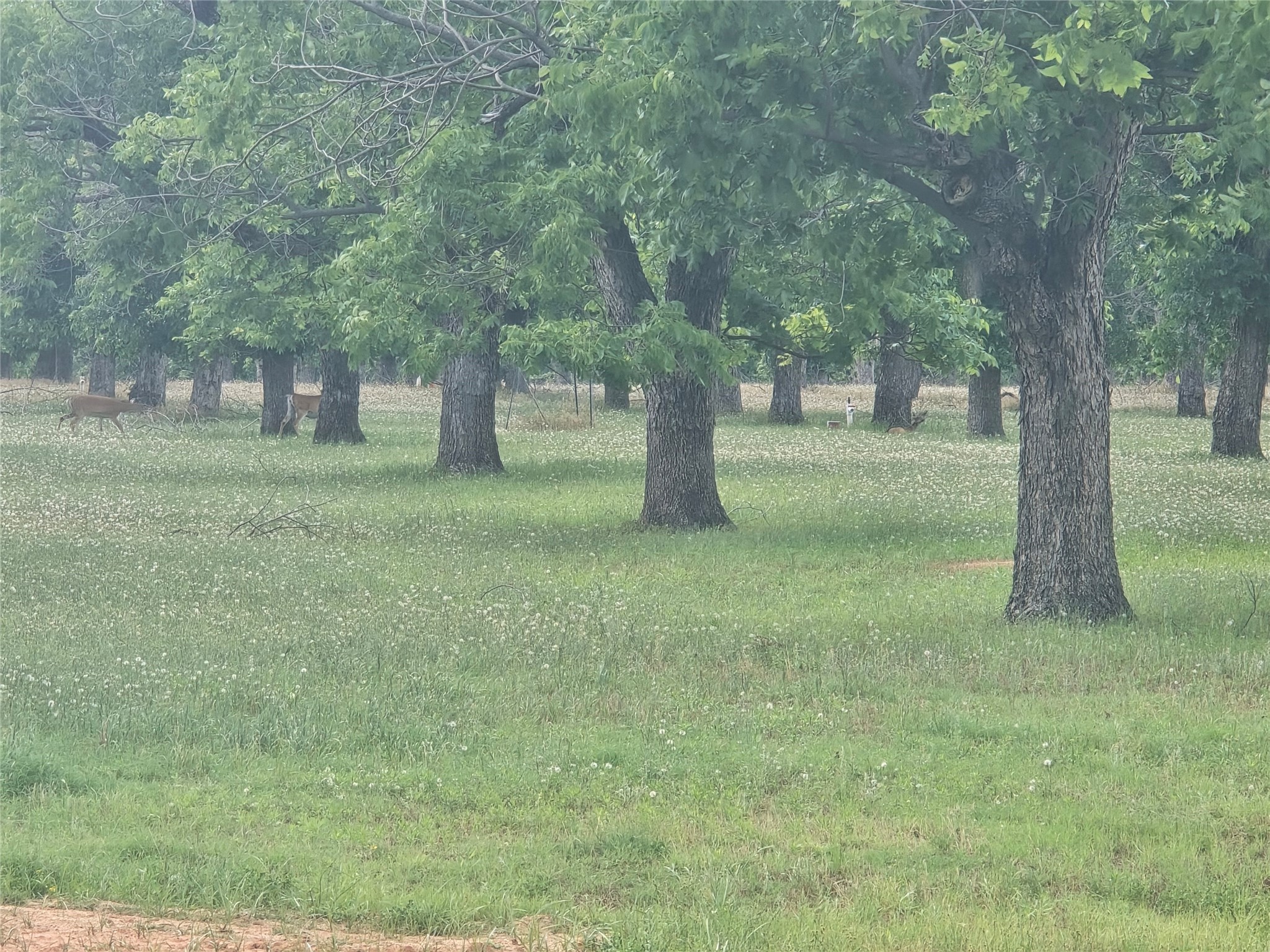 8317 W Landings Road Granbury TX 76049