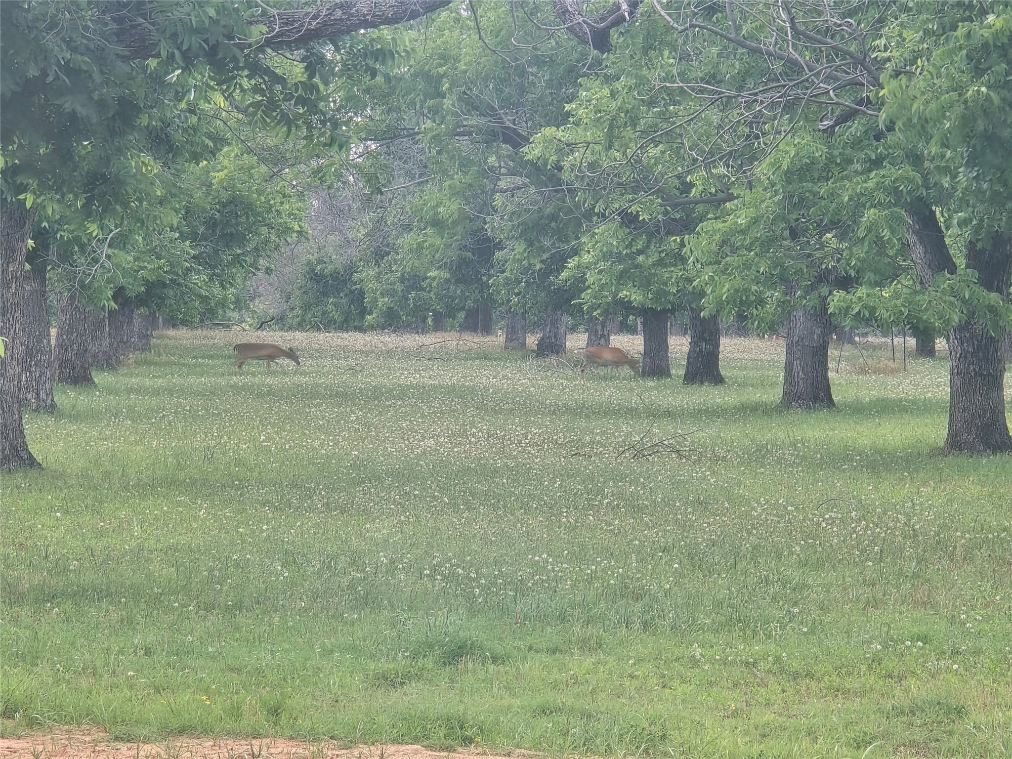 8317 W Landings Road Granbury TX 76049