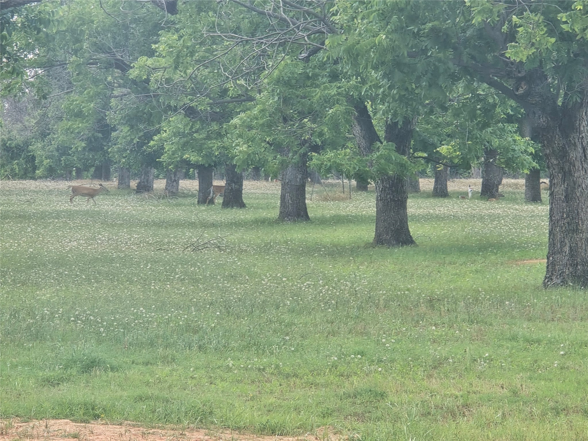 8317 W Landings Road Granbury TX 76049