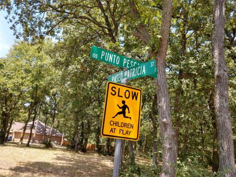 373 Punta Pescador Gun Barrel City TX 75147