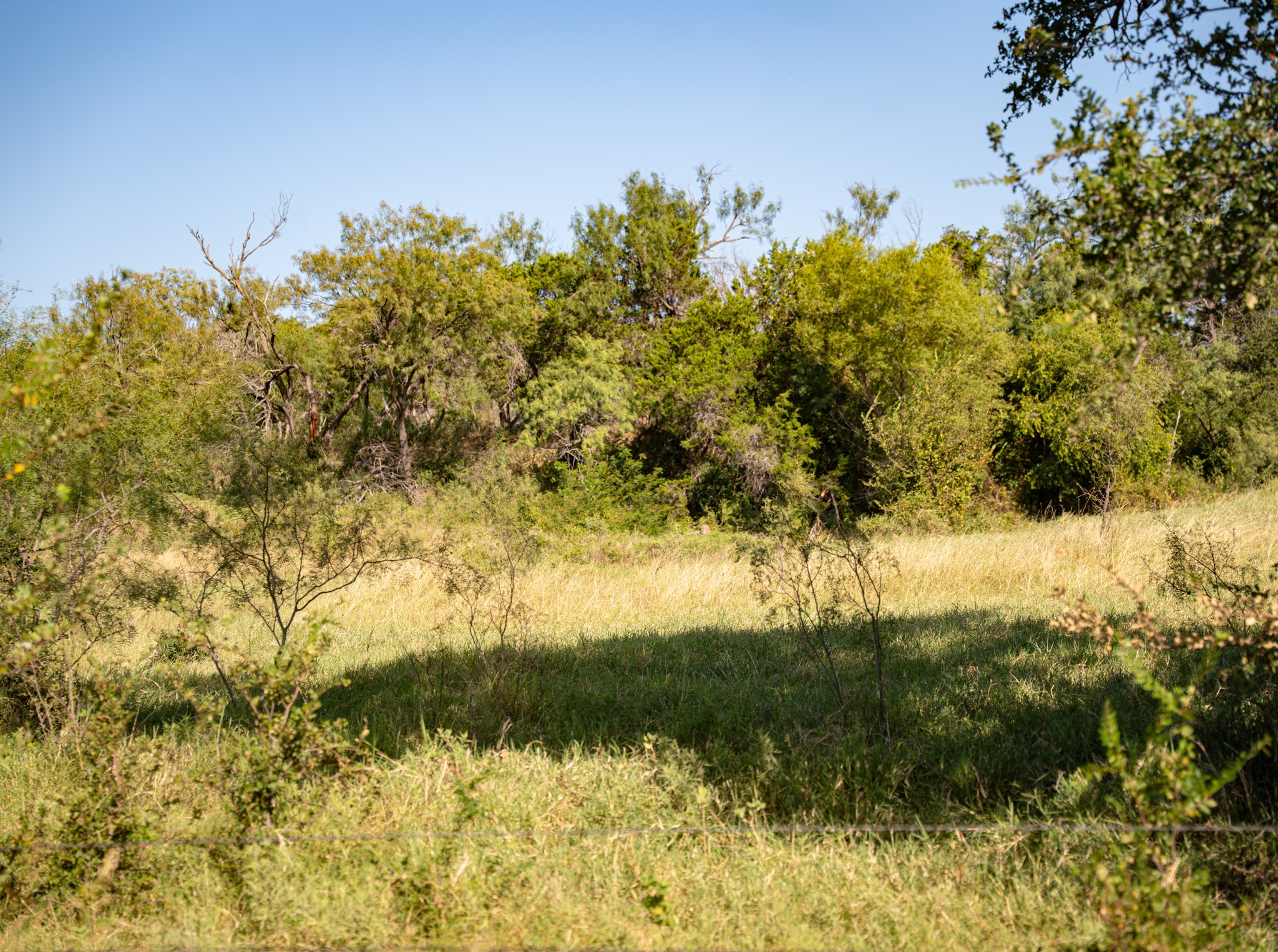 4171 Pleasant Valley Road Mineral Wells TX 76067