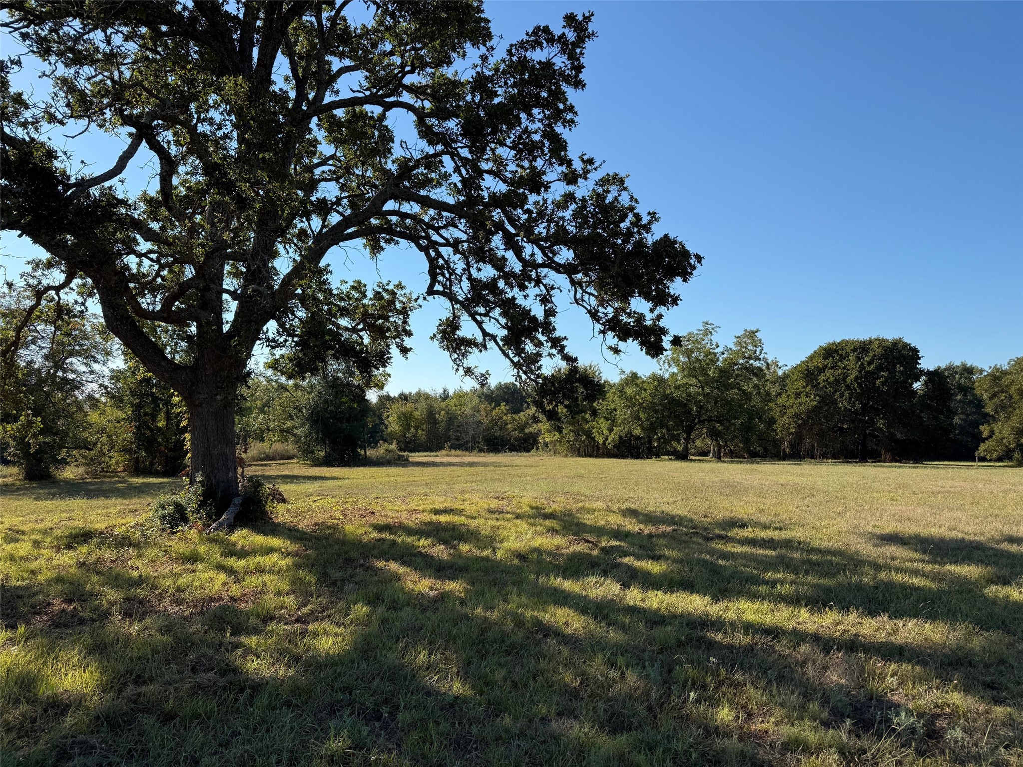 2102 County Road 2610 Bonham TX 75418