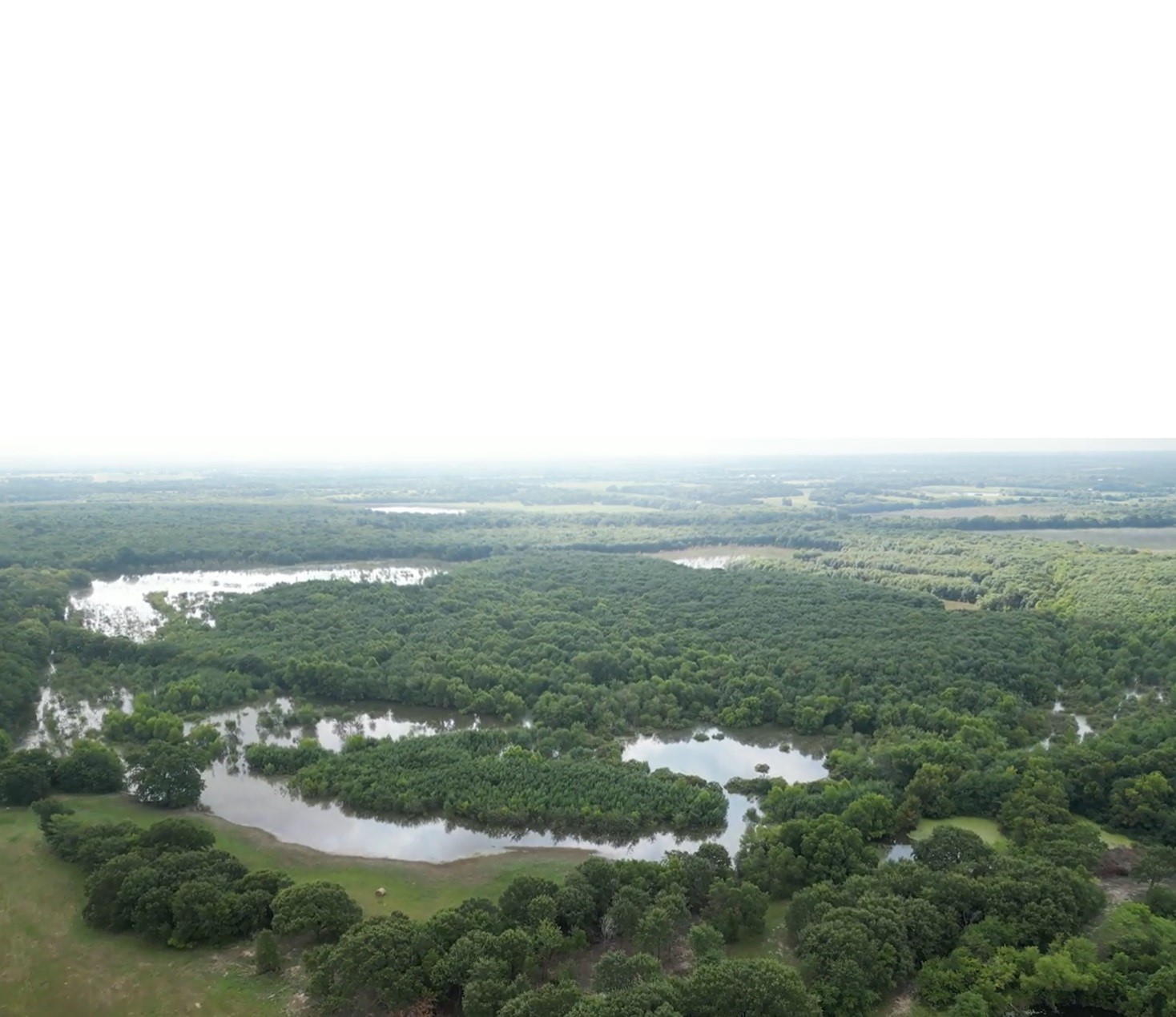 2102 County Road 2610 Bonham TX 75418