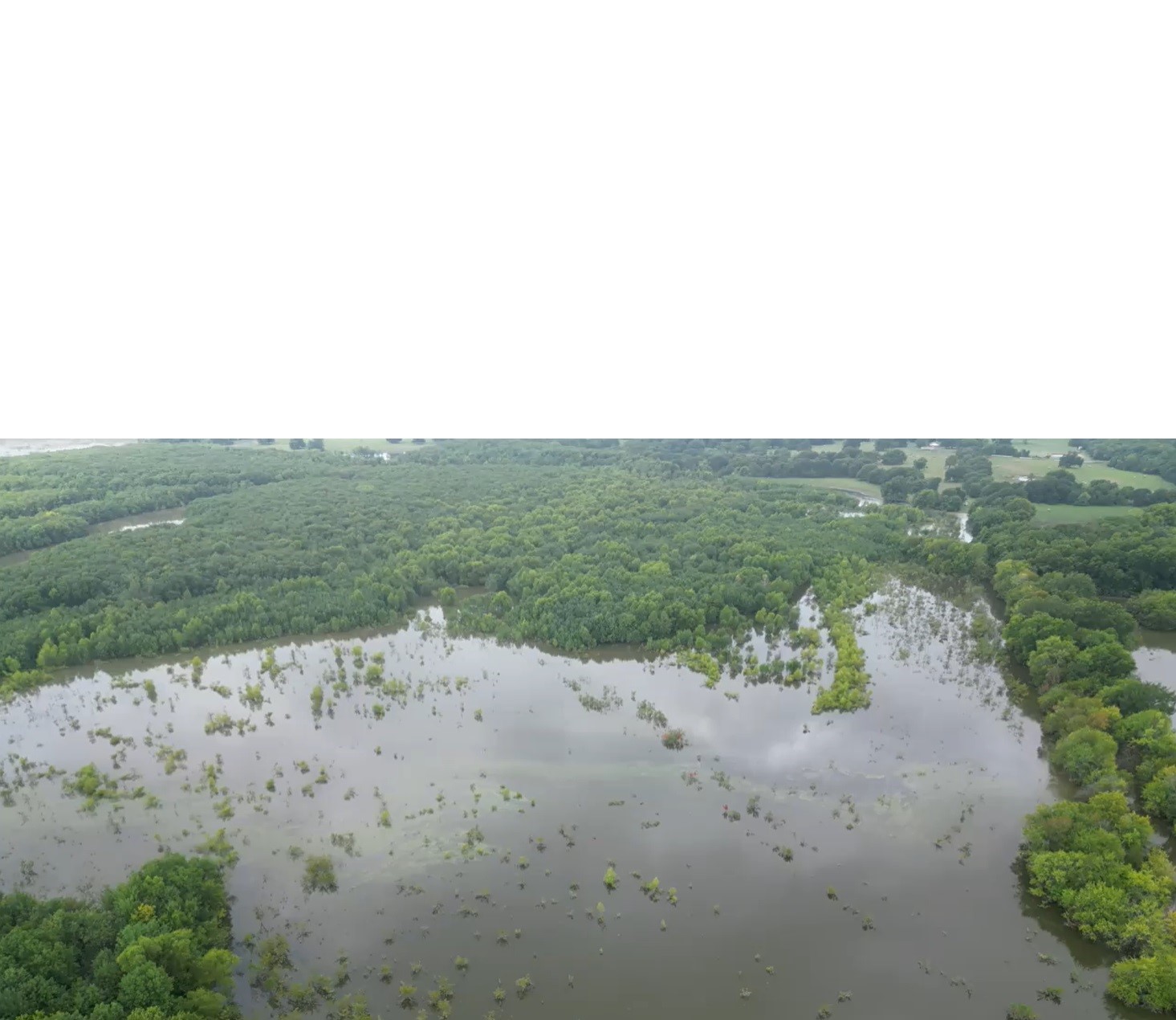 2102 County Road 2610 Bonham TX 75418