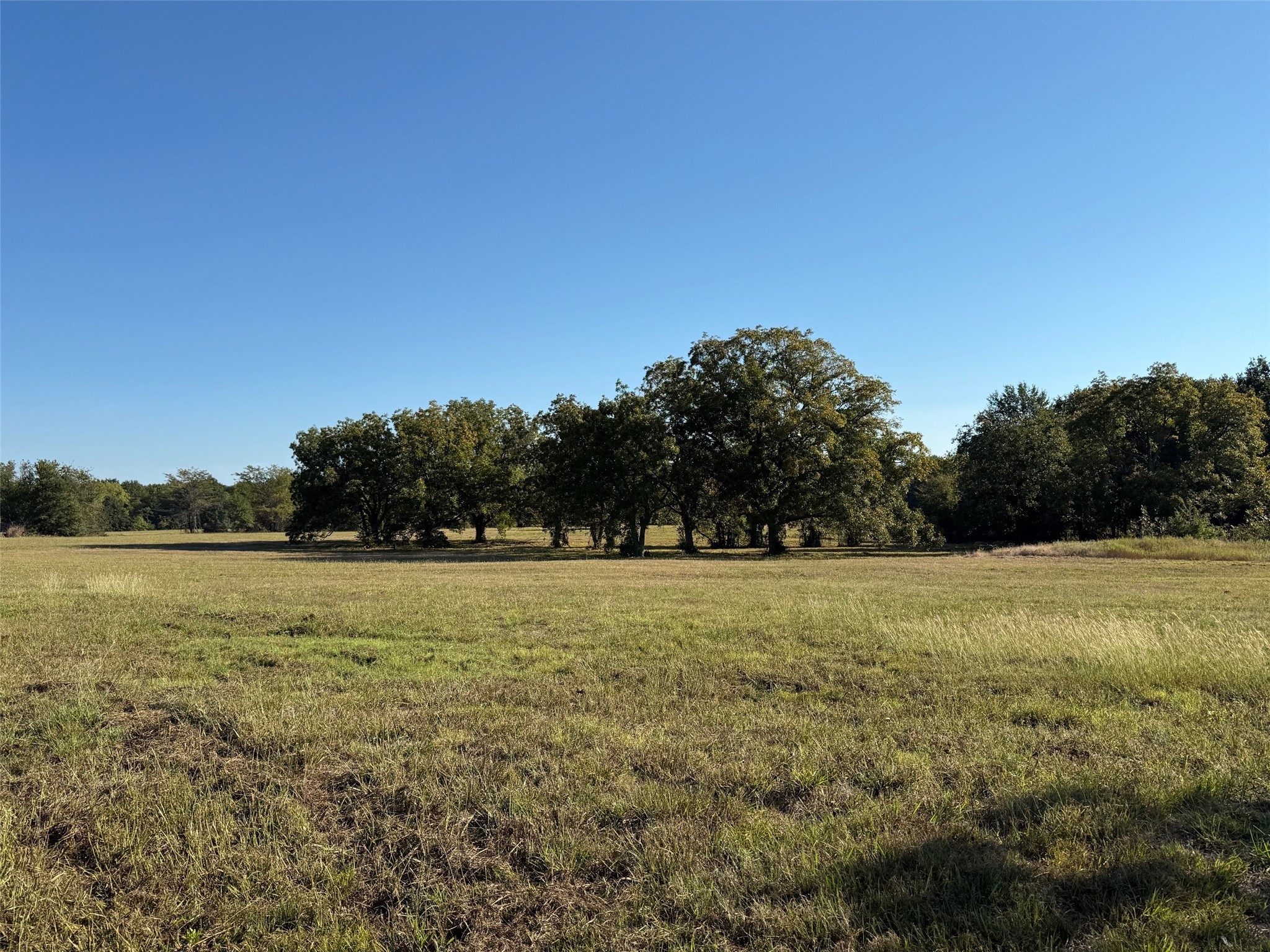 2102 County Road 2610 Bonham TX 75418