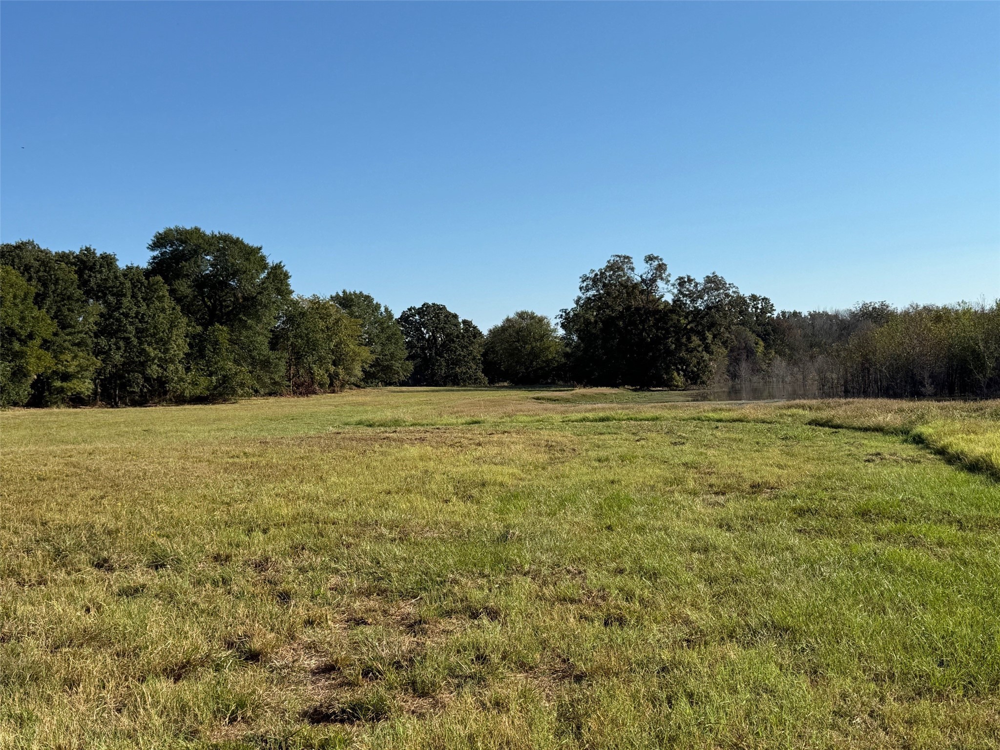 2102 County Road 2610 Bonham TX 75418