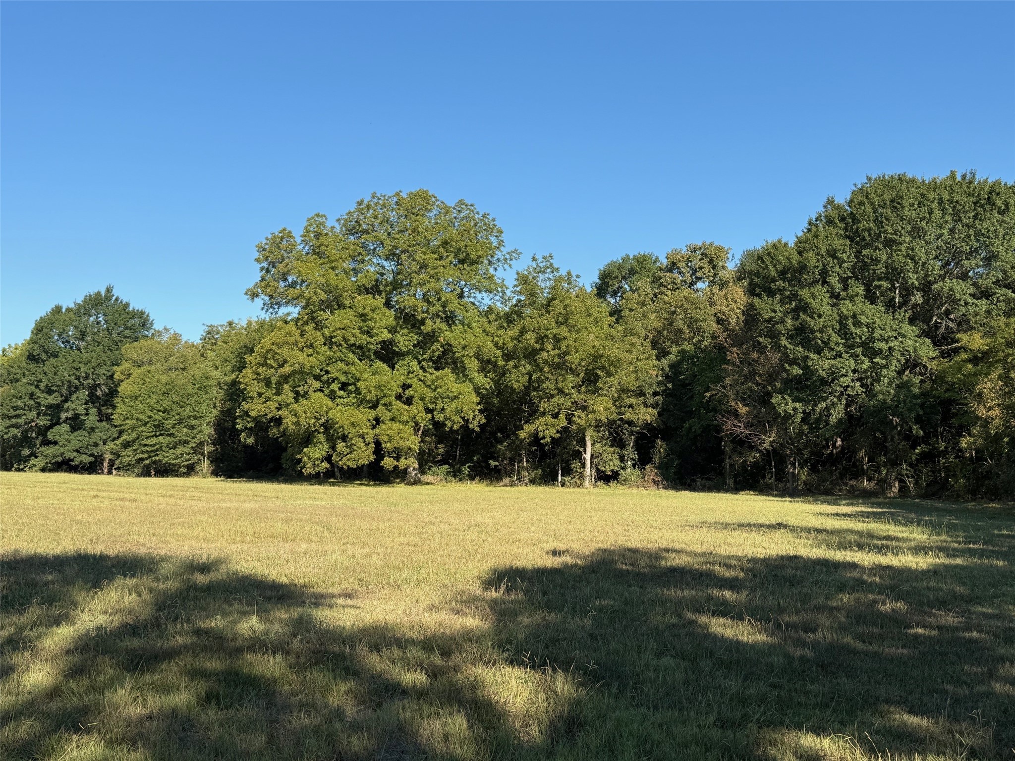 2102 County Road 2610 Bonham TX 75418