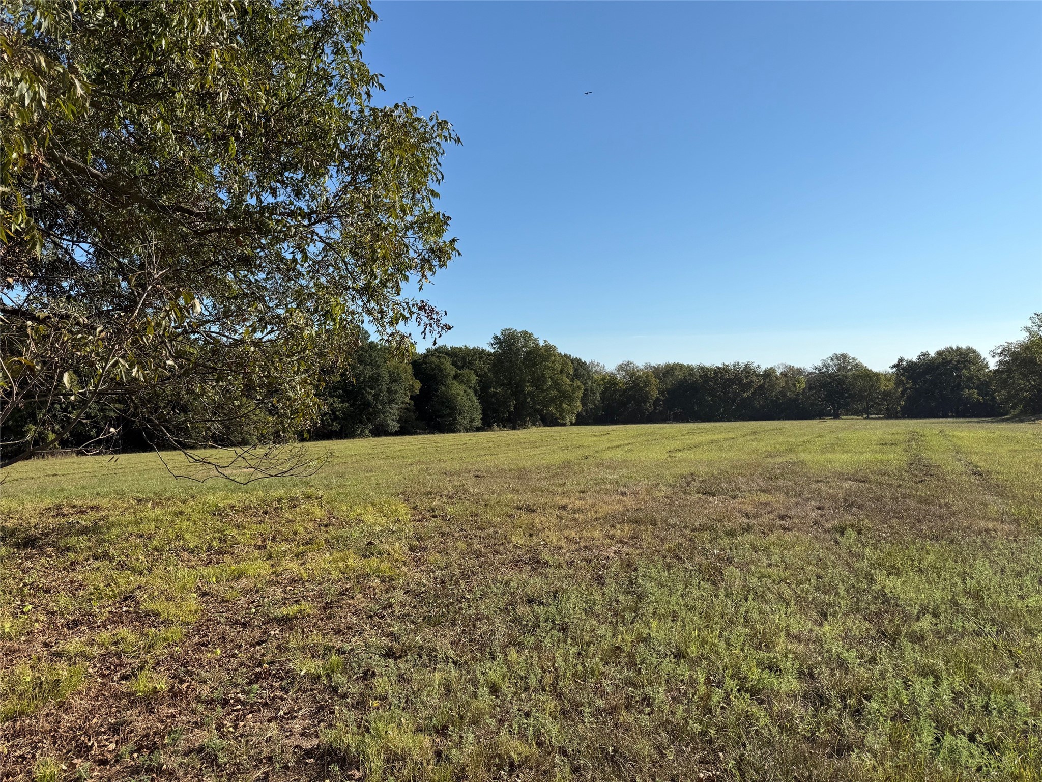 2102 County Road 2610 Bonham TX 75418