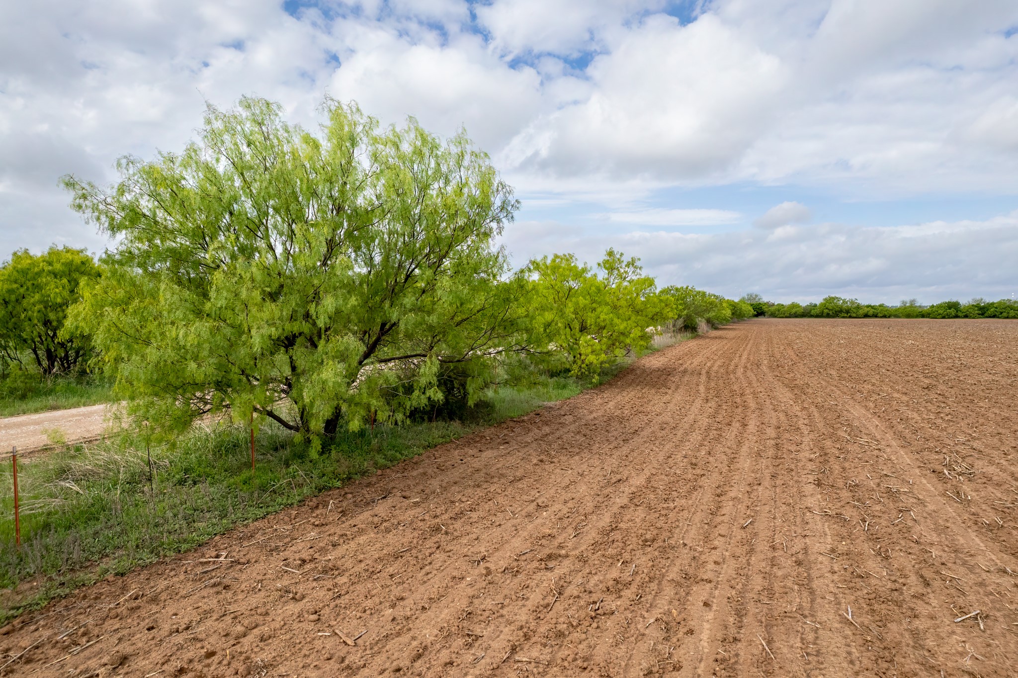 Tbd C.r. 136 Coleman TX 76834
