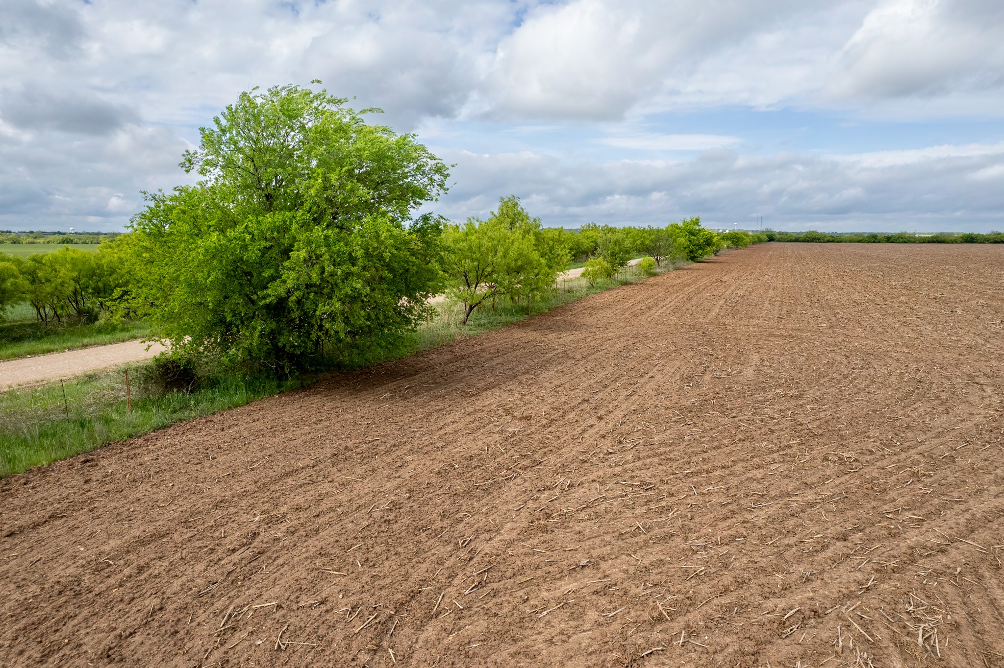 Tbd C.r. 136 Coleman TX 76834