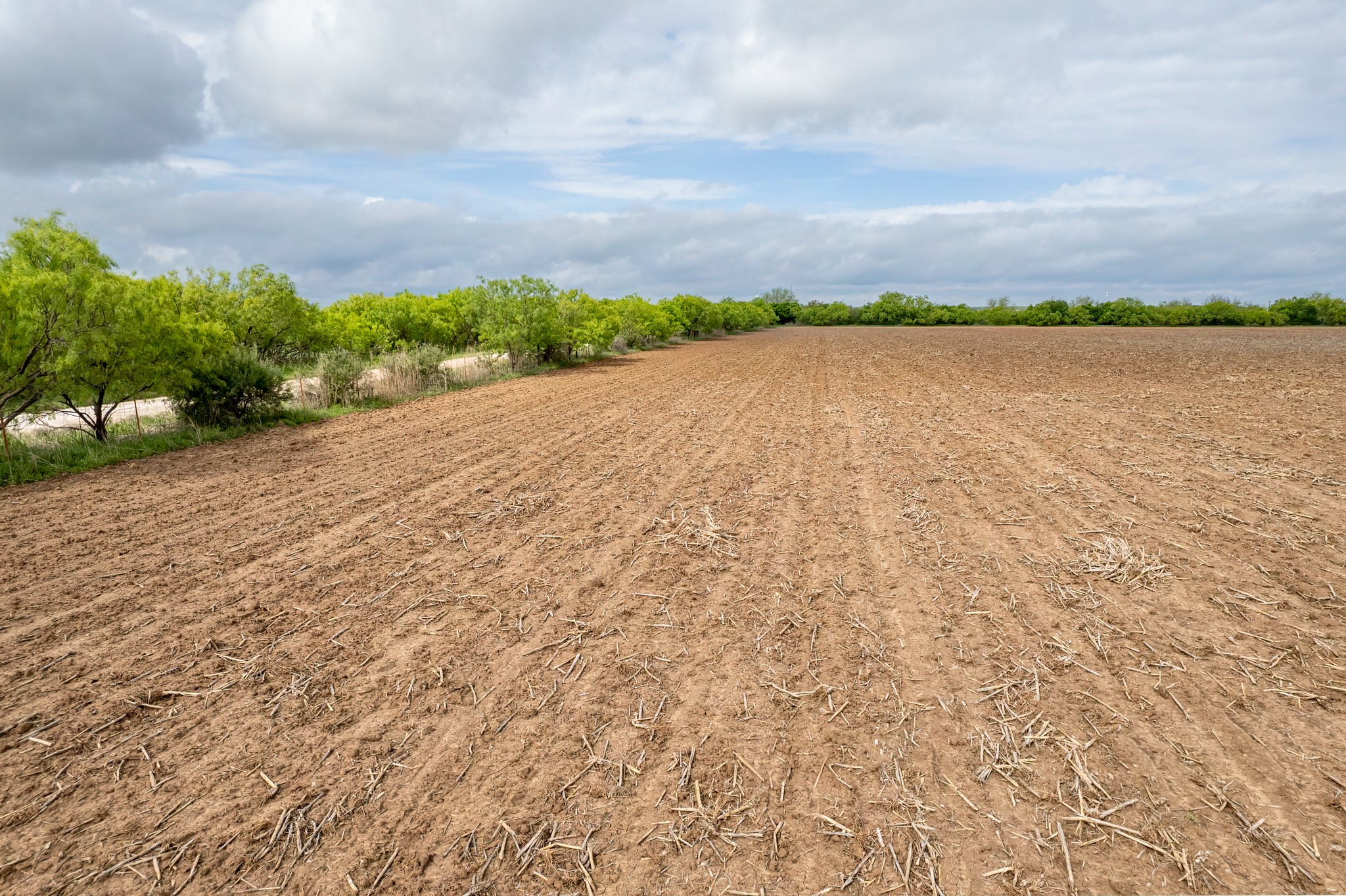 Tbd C.r. 136 Coleman TX 76834
