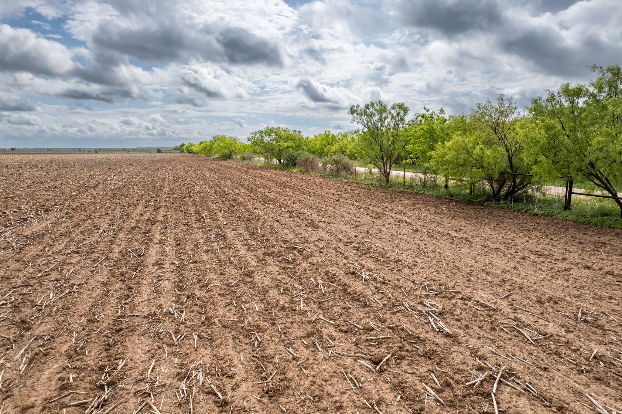 Tbd C.r. 136 Coleman TX 76834