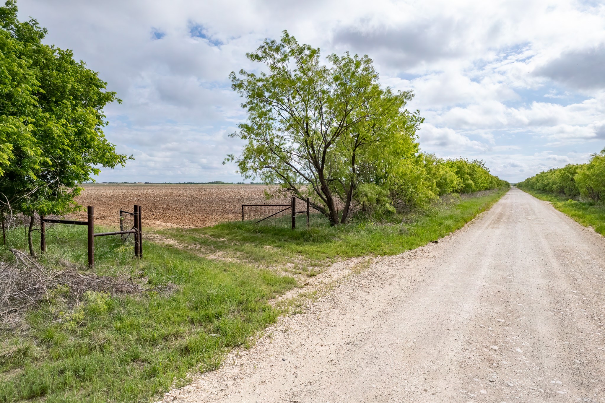 Tbd C.r. 136 Coleman TX 76834