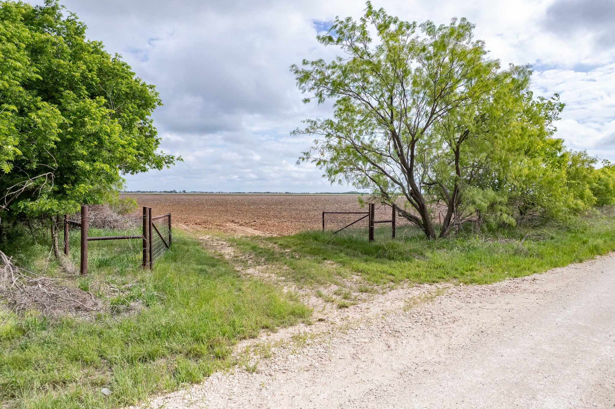 Tbd C.r. 136 Coleman TX 76834