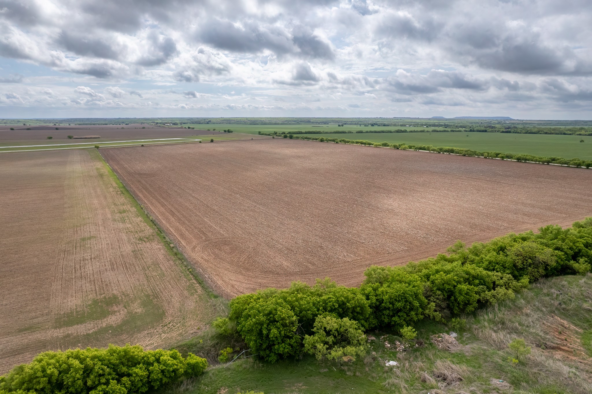 Tbd C.r. 136 Coleman TX 76834