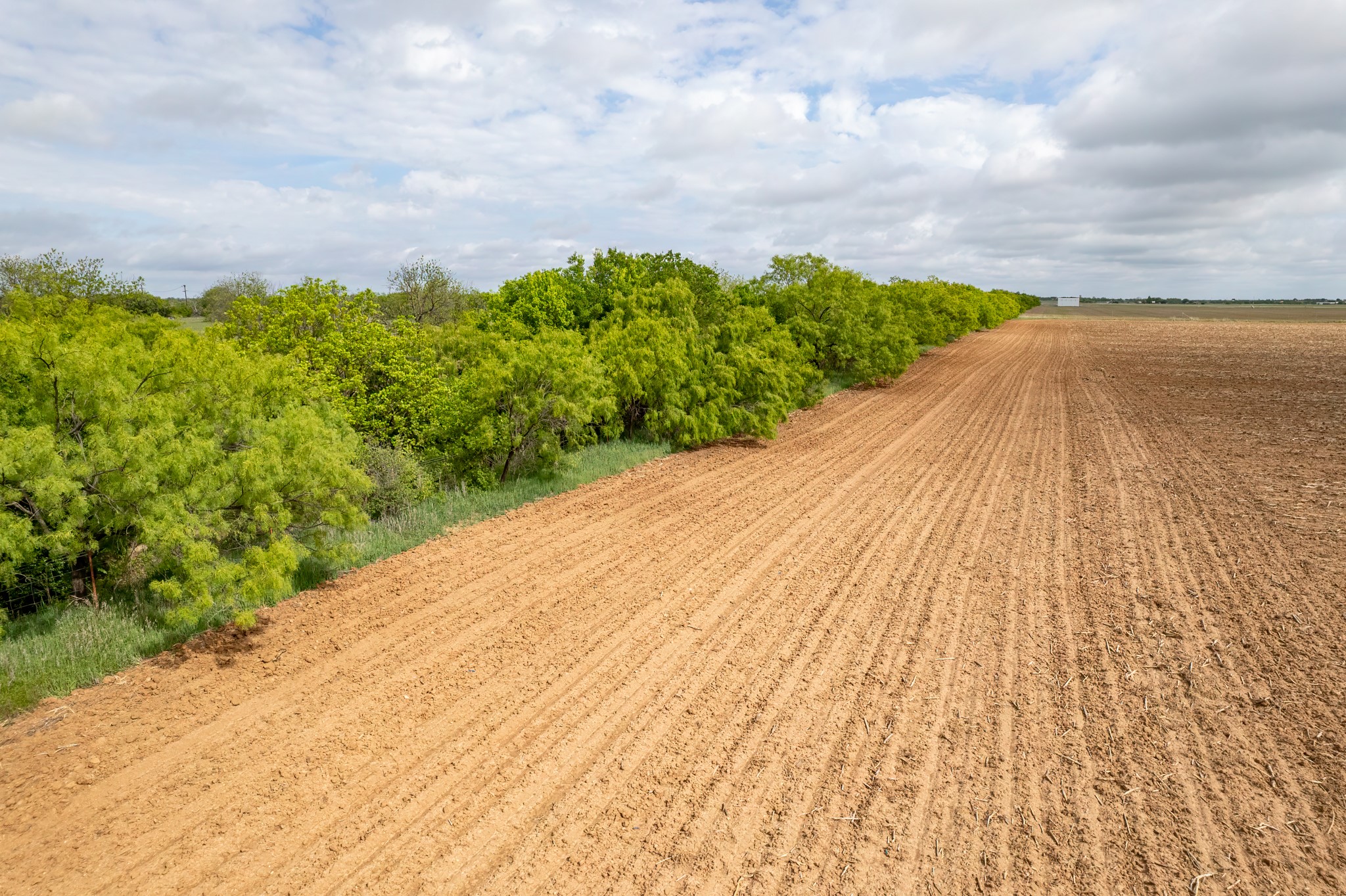 Tbd C.r. 136 Coleman TX 76834