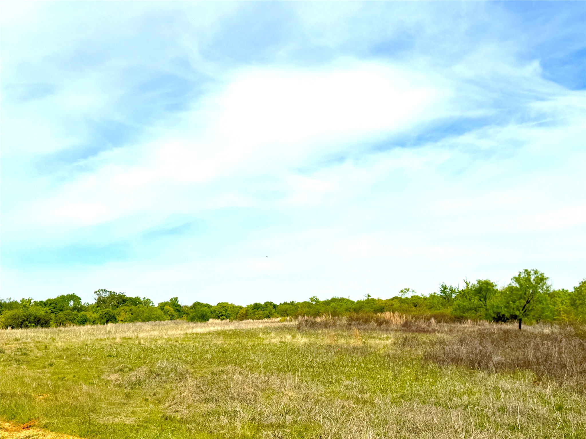 17101 Fm-920 Poolville TX 76487