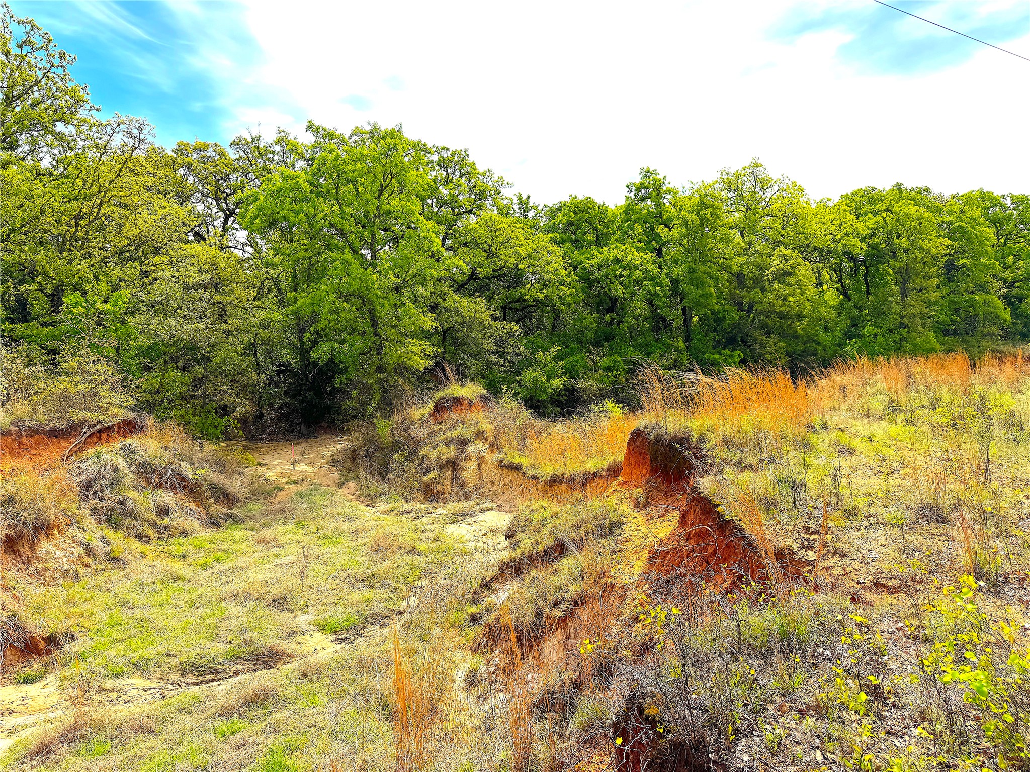 17101 Fm-920 Poolville TX 76487