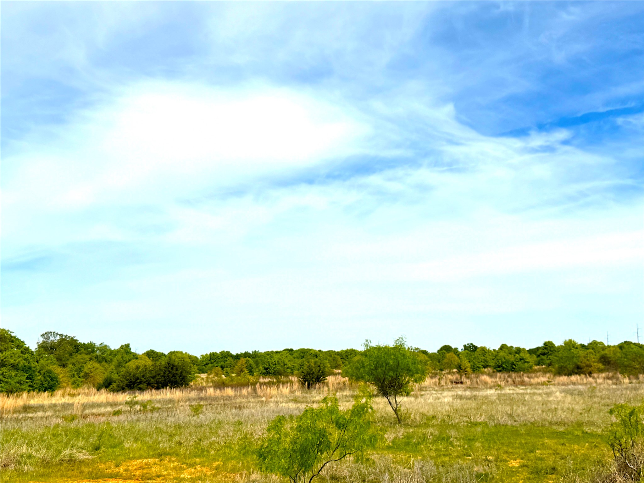 17101 Fm-920 Poolville TX 76487