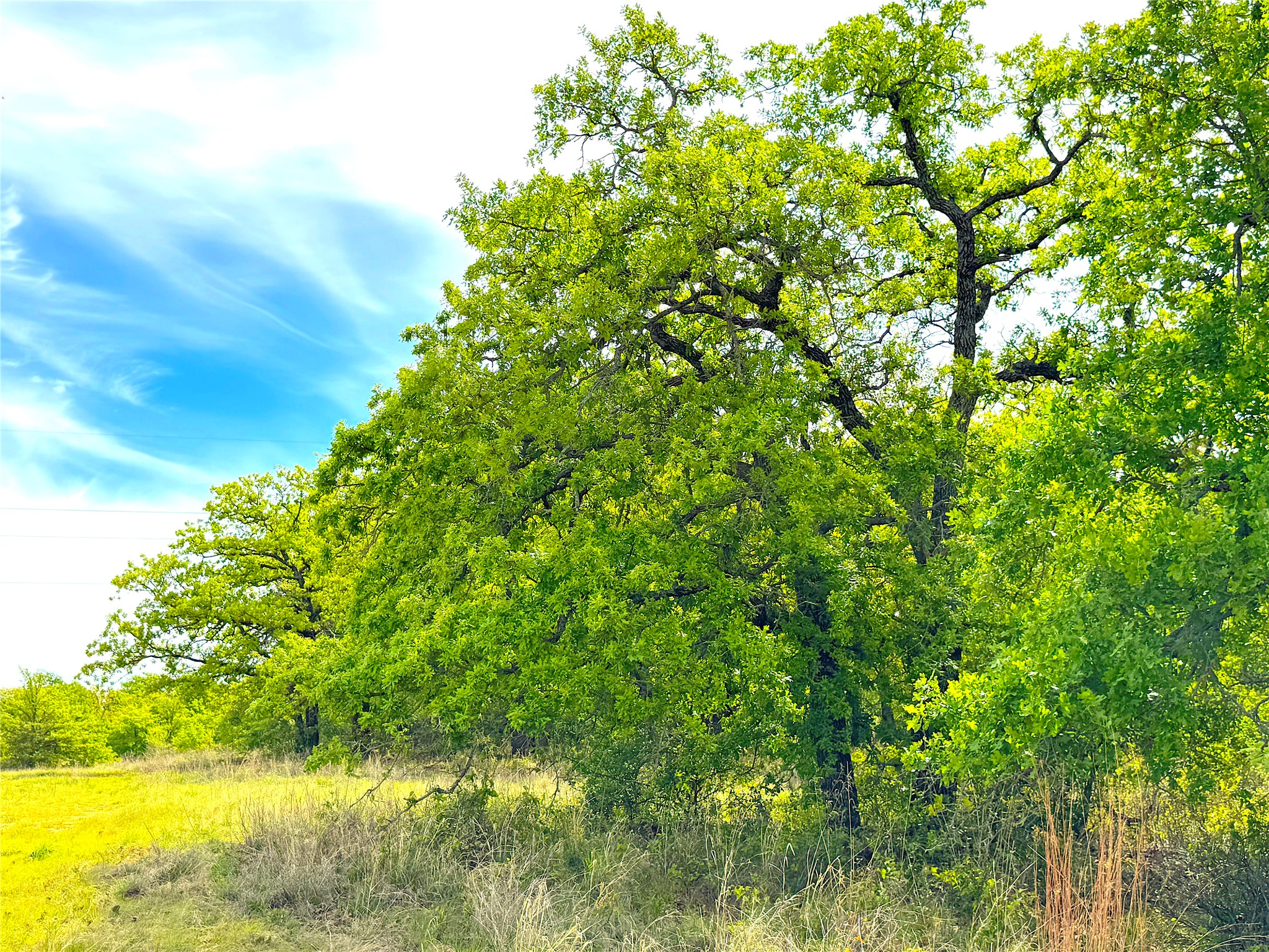 17101 Fm-920 Poolville TX 76487