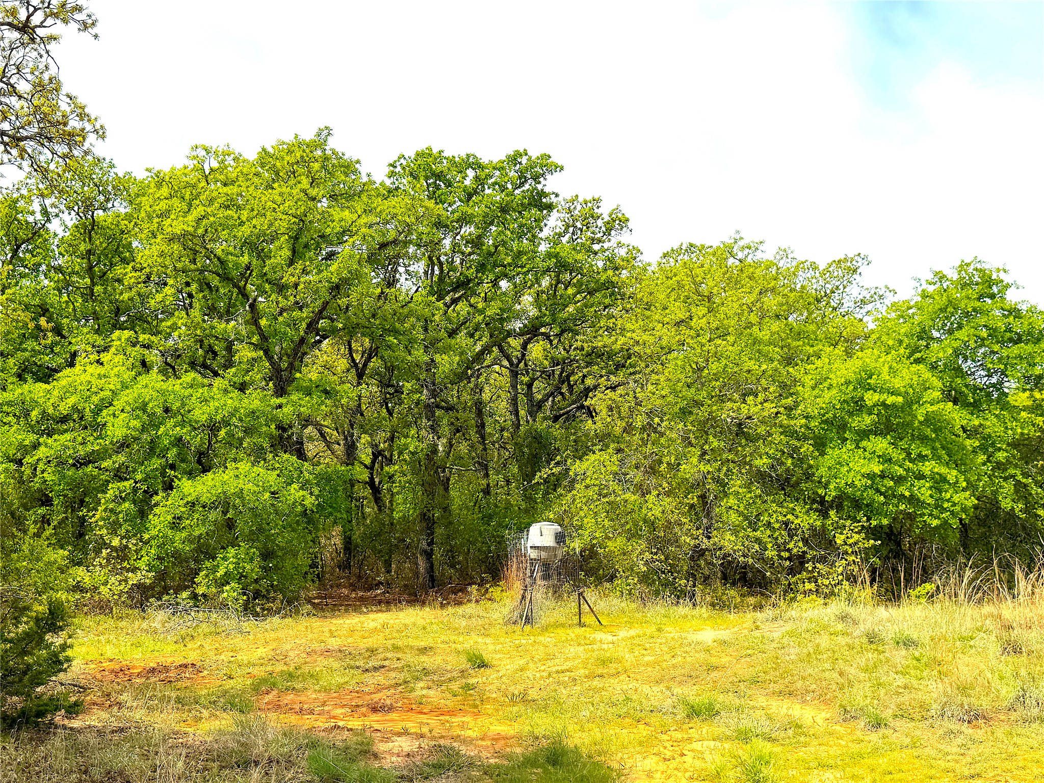 17101 Fm-920 Poolville TX 76487