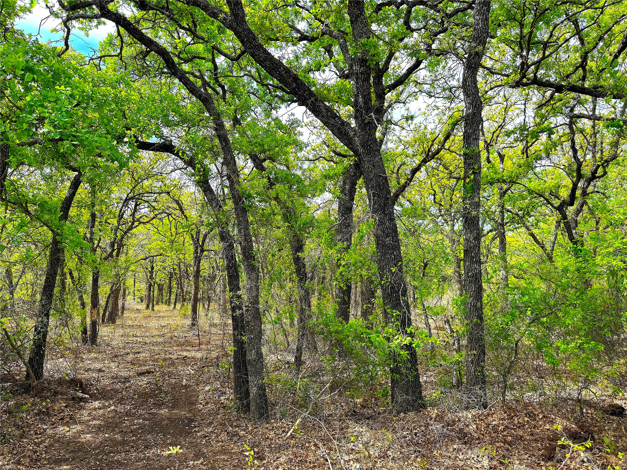 17101 Fm-920 Poolville TX 76487