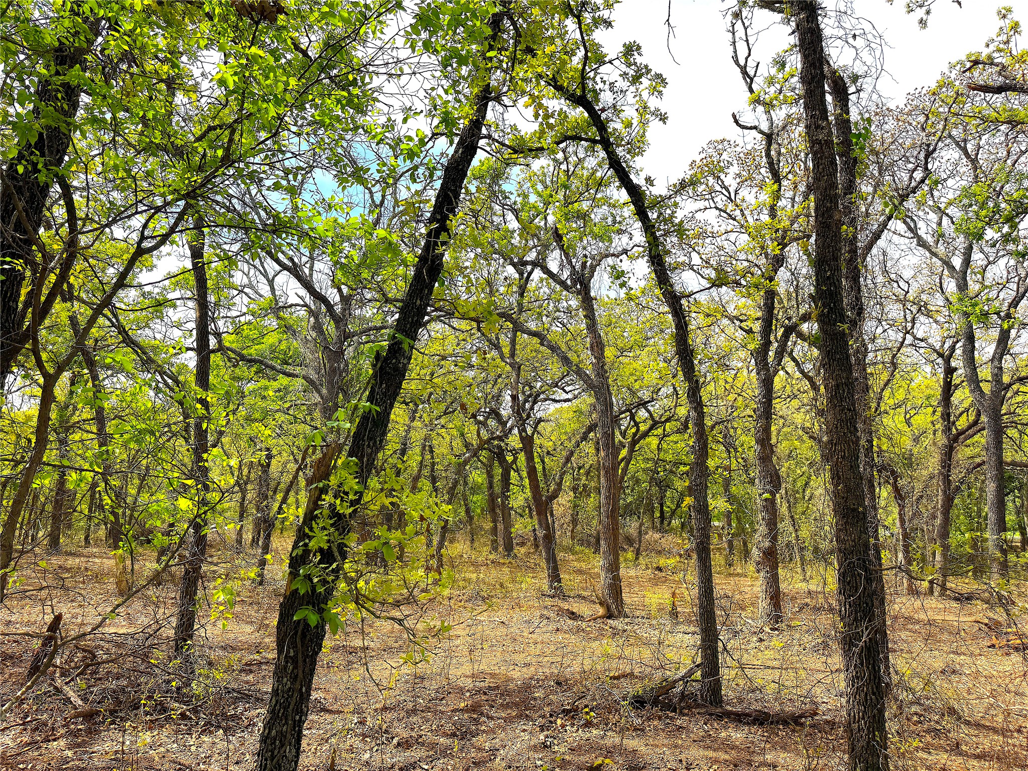 17101 Fm-920 Poolville TX 76487