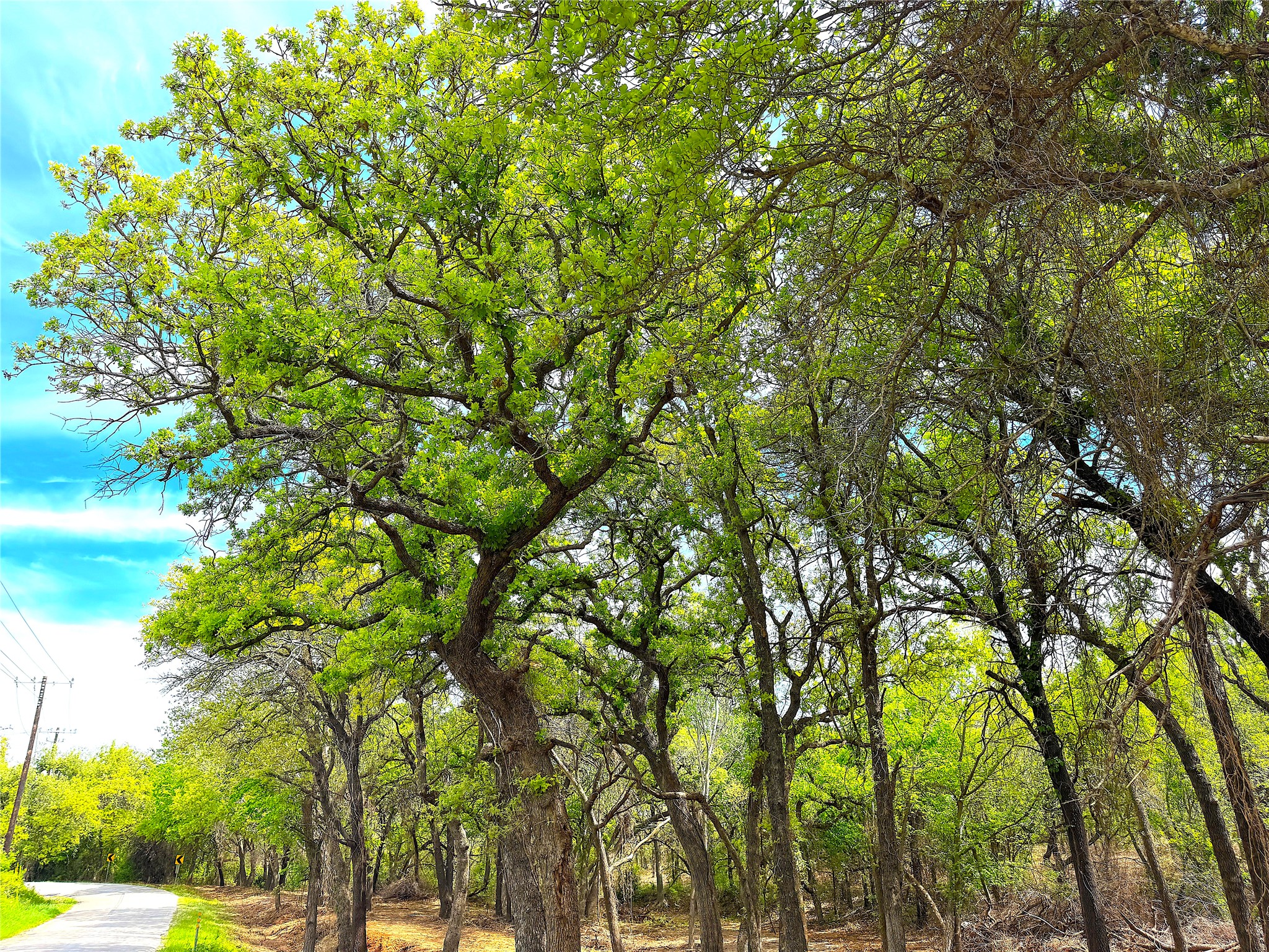 17101 Fm-920 Poolville TX 76487
